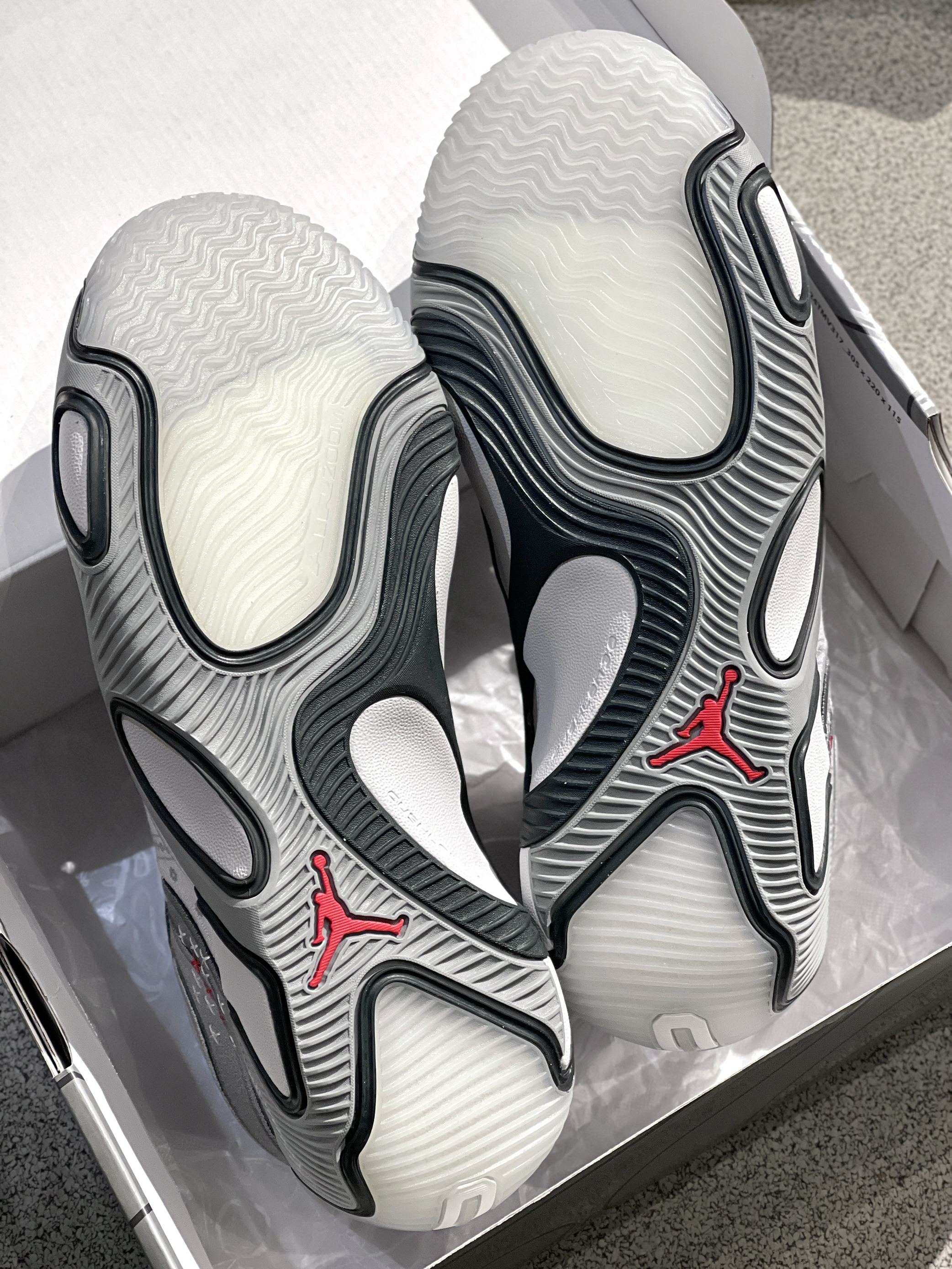 Tatum 3 ✖️ 西海岸腰果花 ☑️