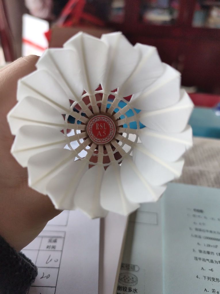 亚狮龙的细糠
