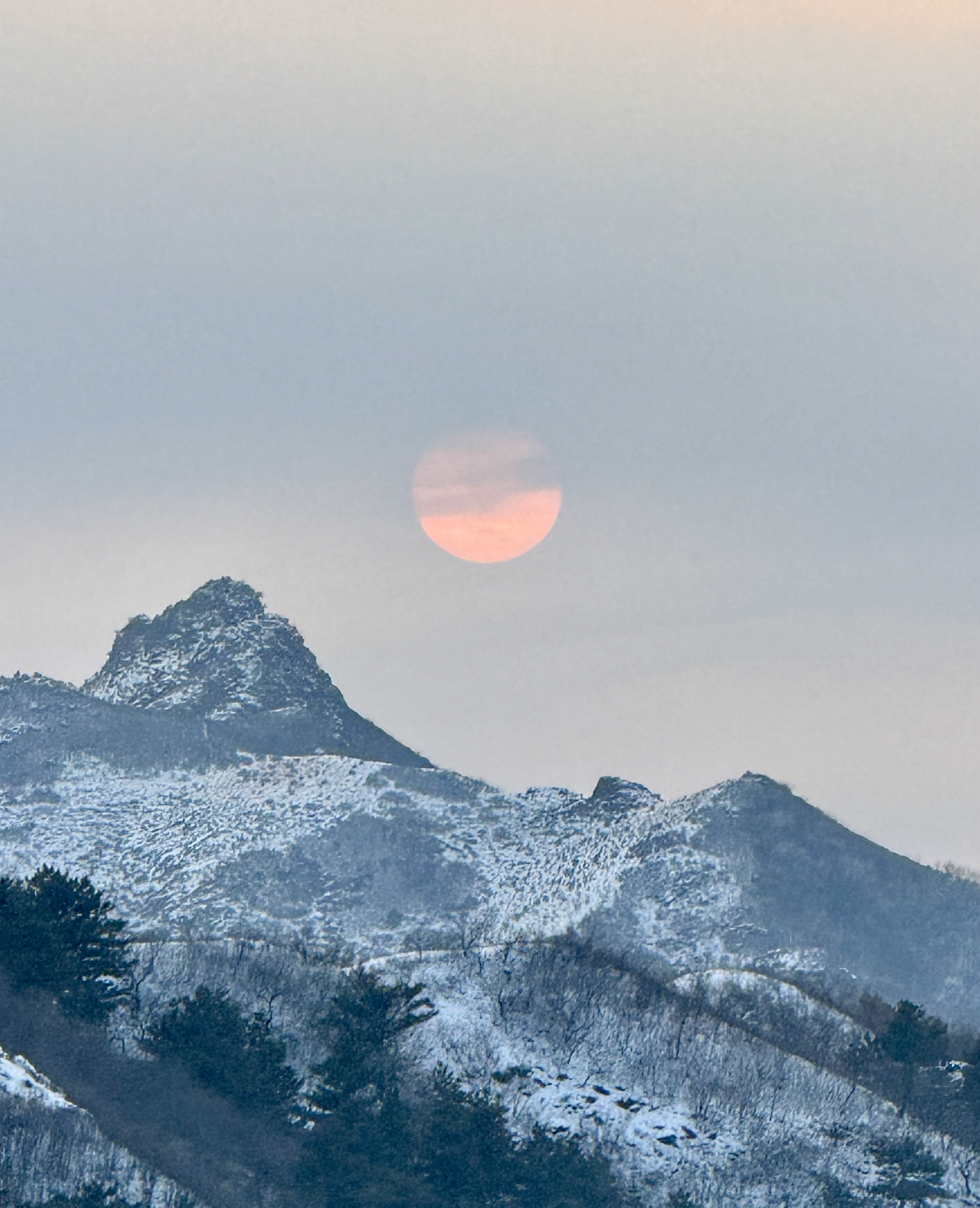 🛒好物名称：
🤔推荐理由：书包非常goo