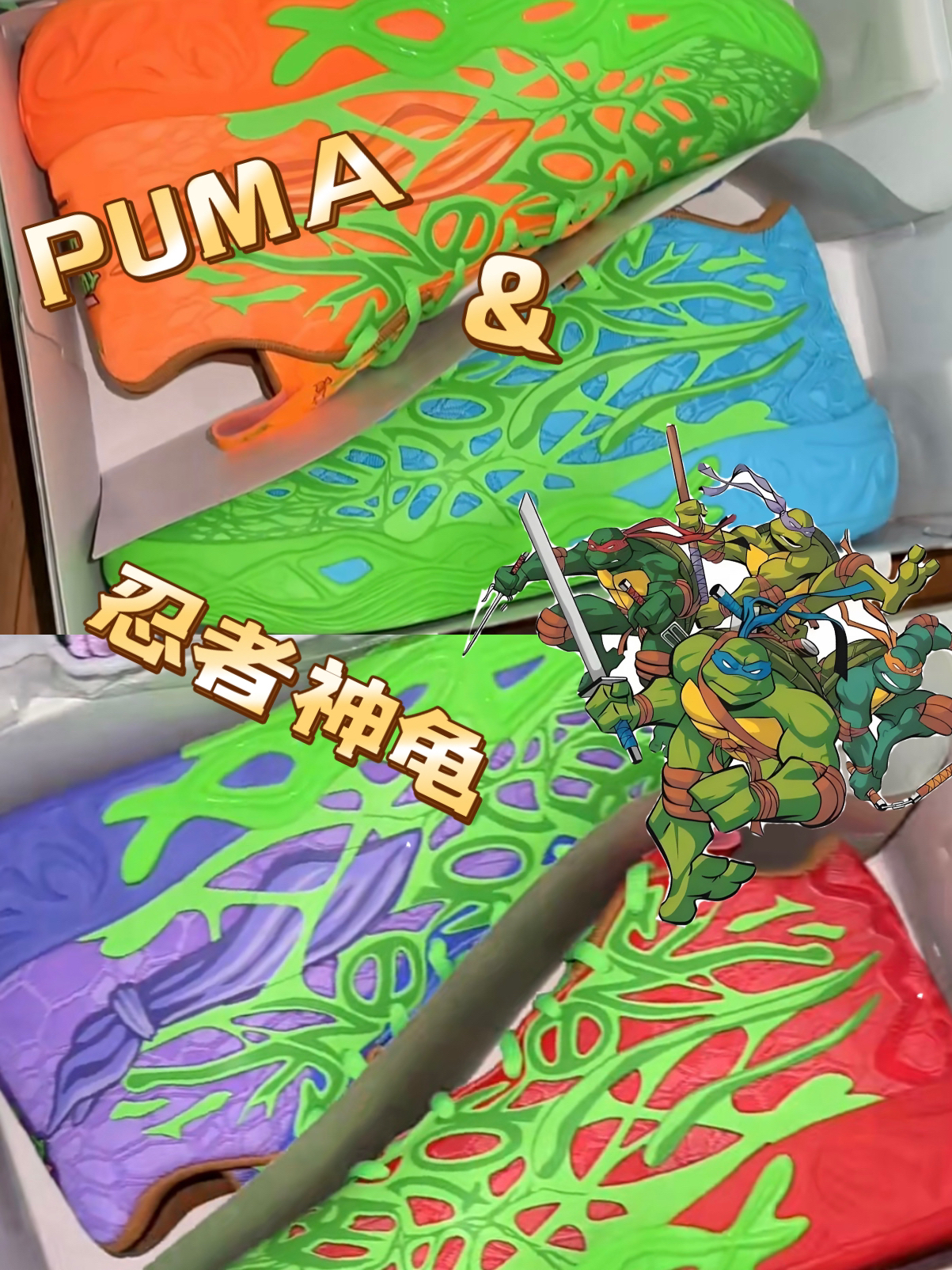 Puma&忍着神龟，帅呀！