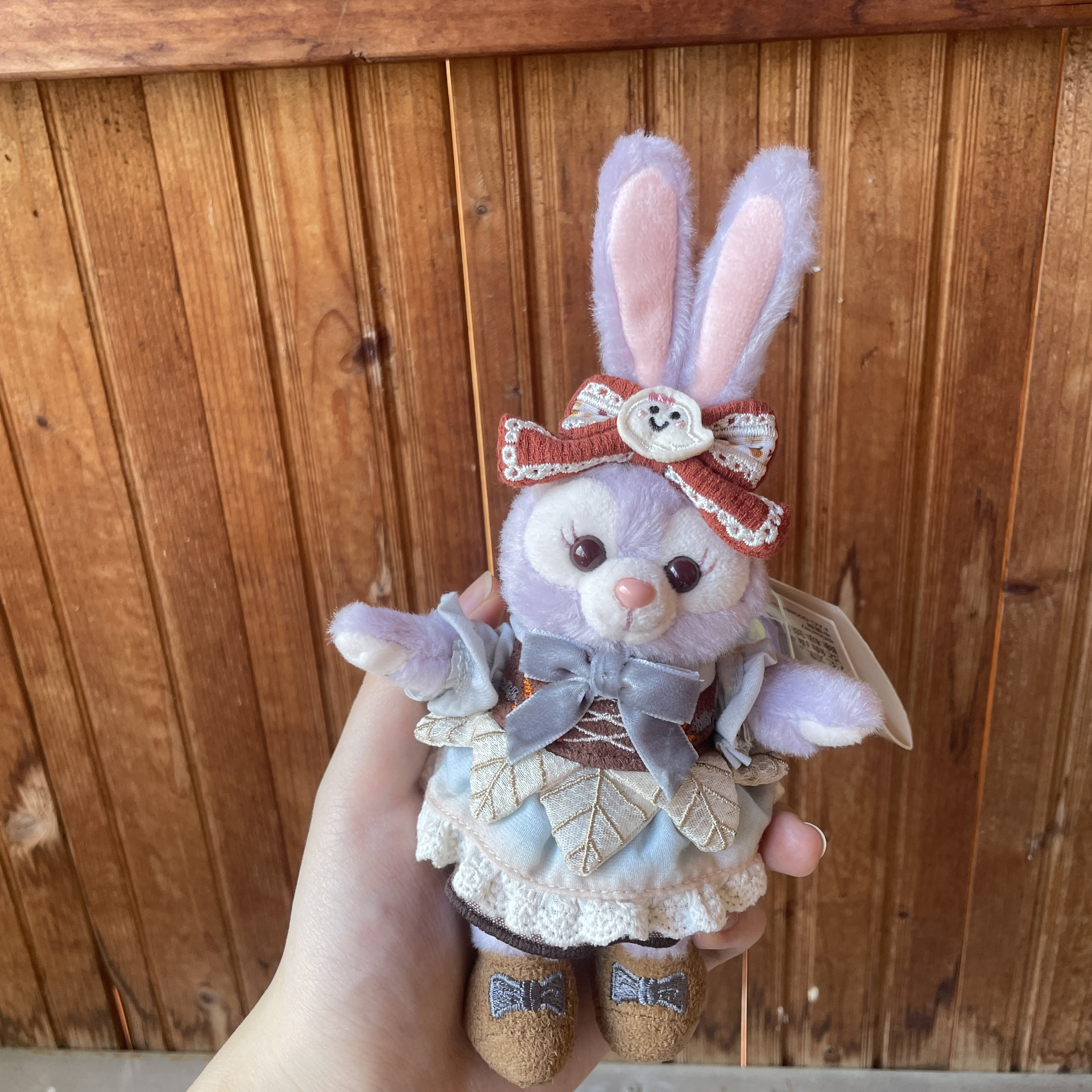 星黛露🐰