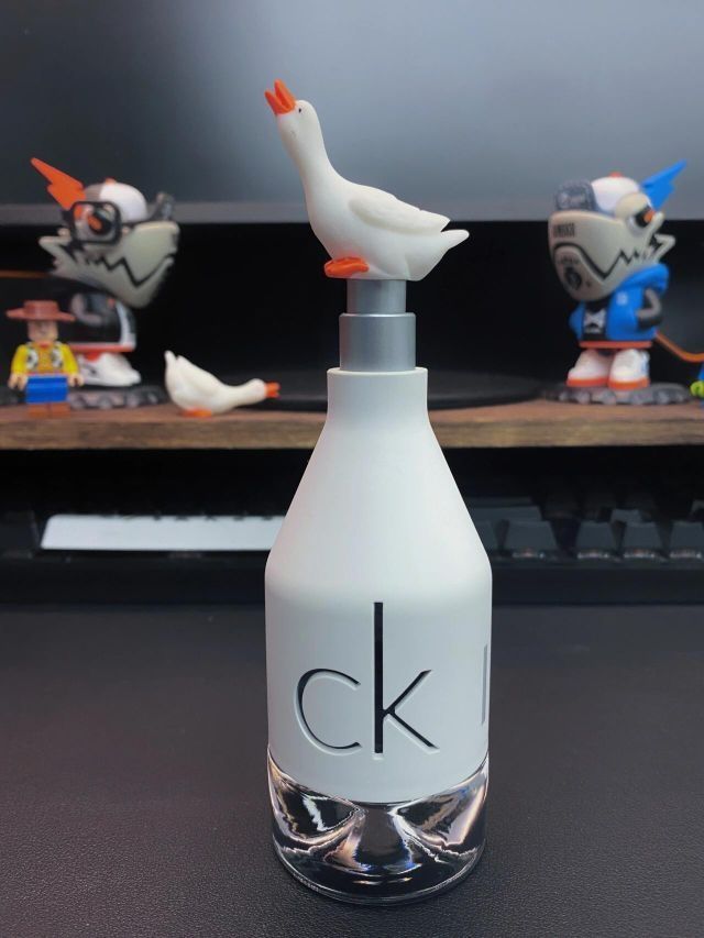 好物分享‖CK IN2U