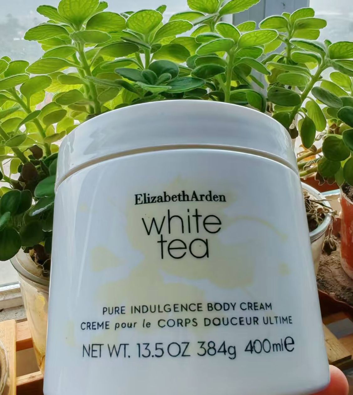 认真空瓶🫙|伊丽莎白雅顿白茶身体乳