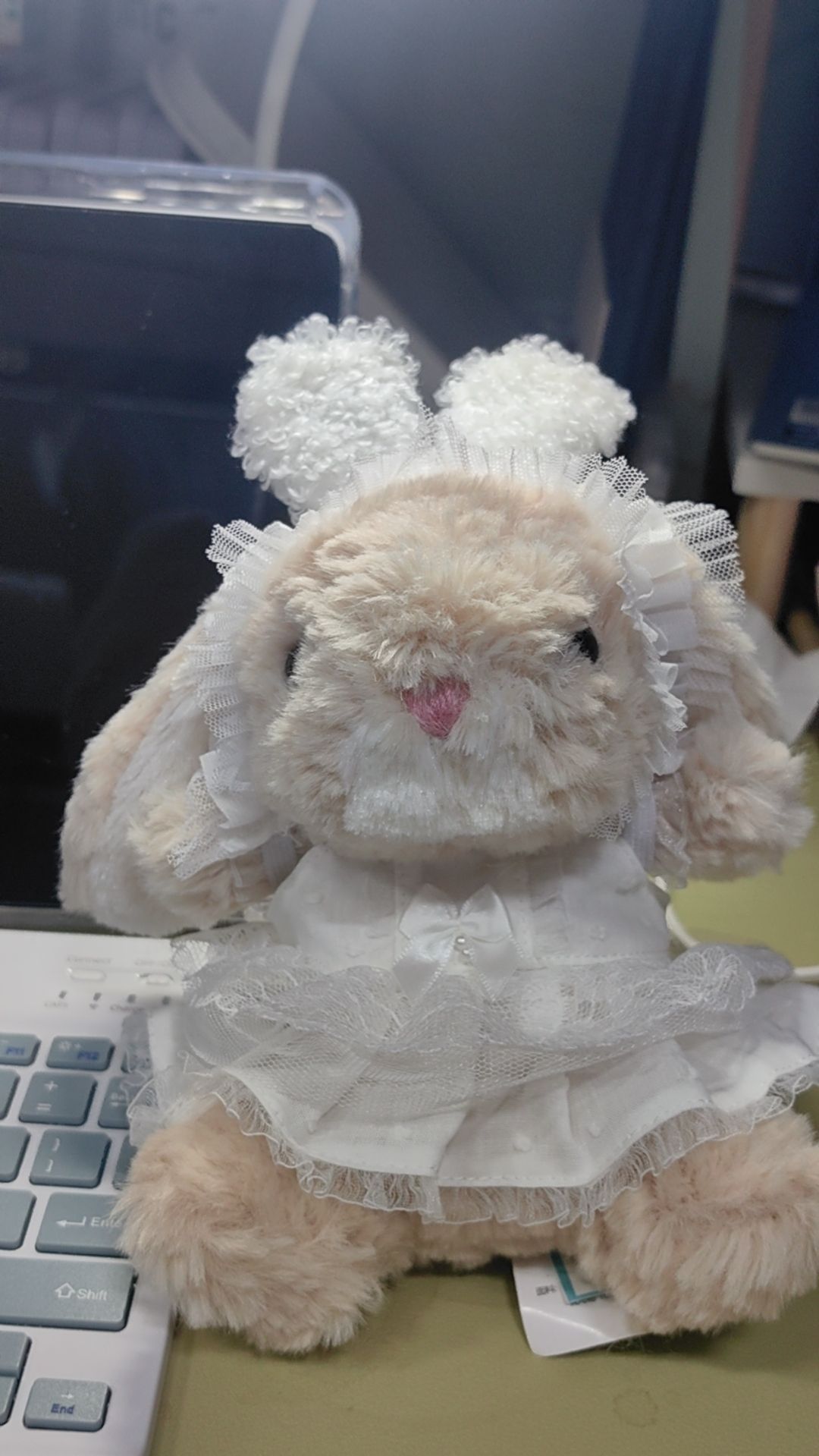 jellycat怎么穿？