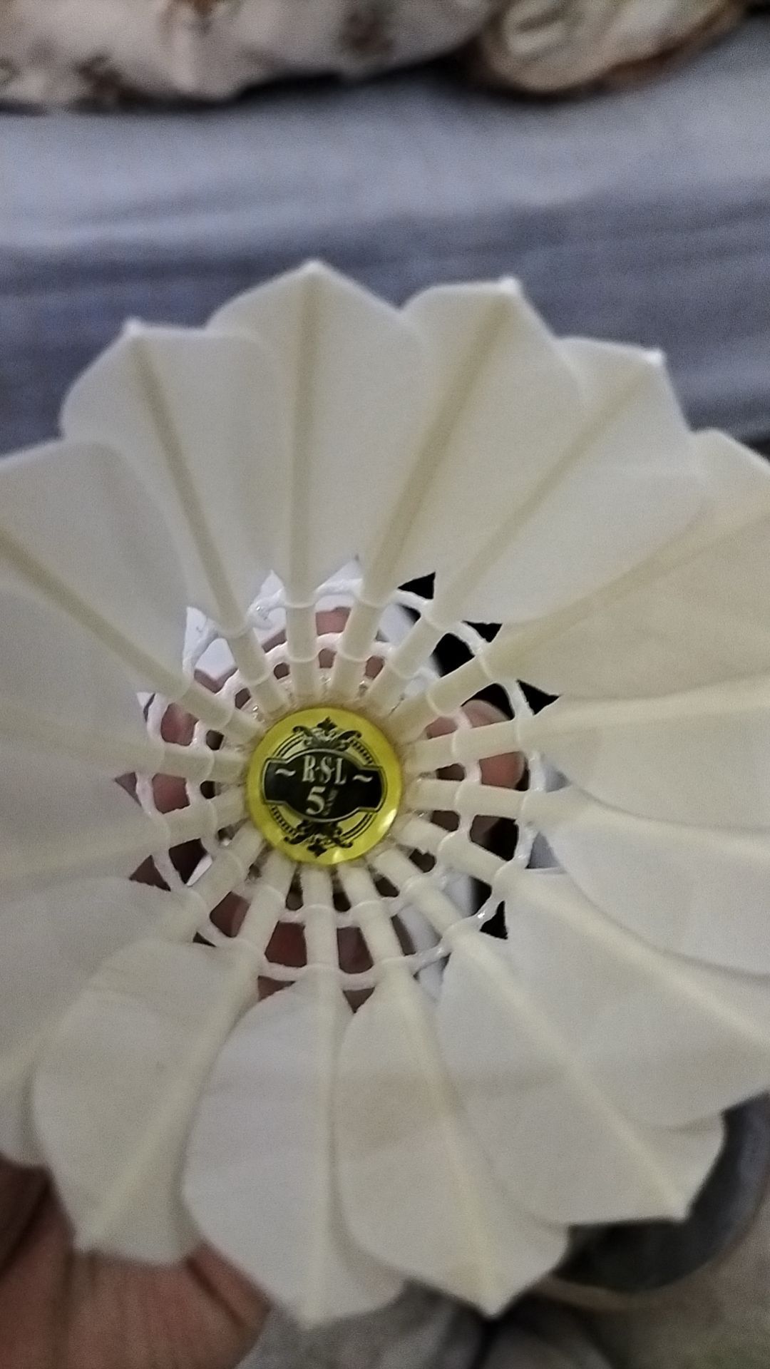 羽毛球质量非常好，物流很快！球的飞行轨道
