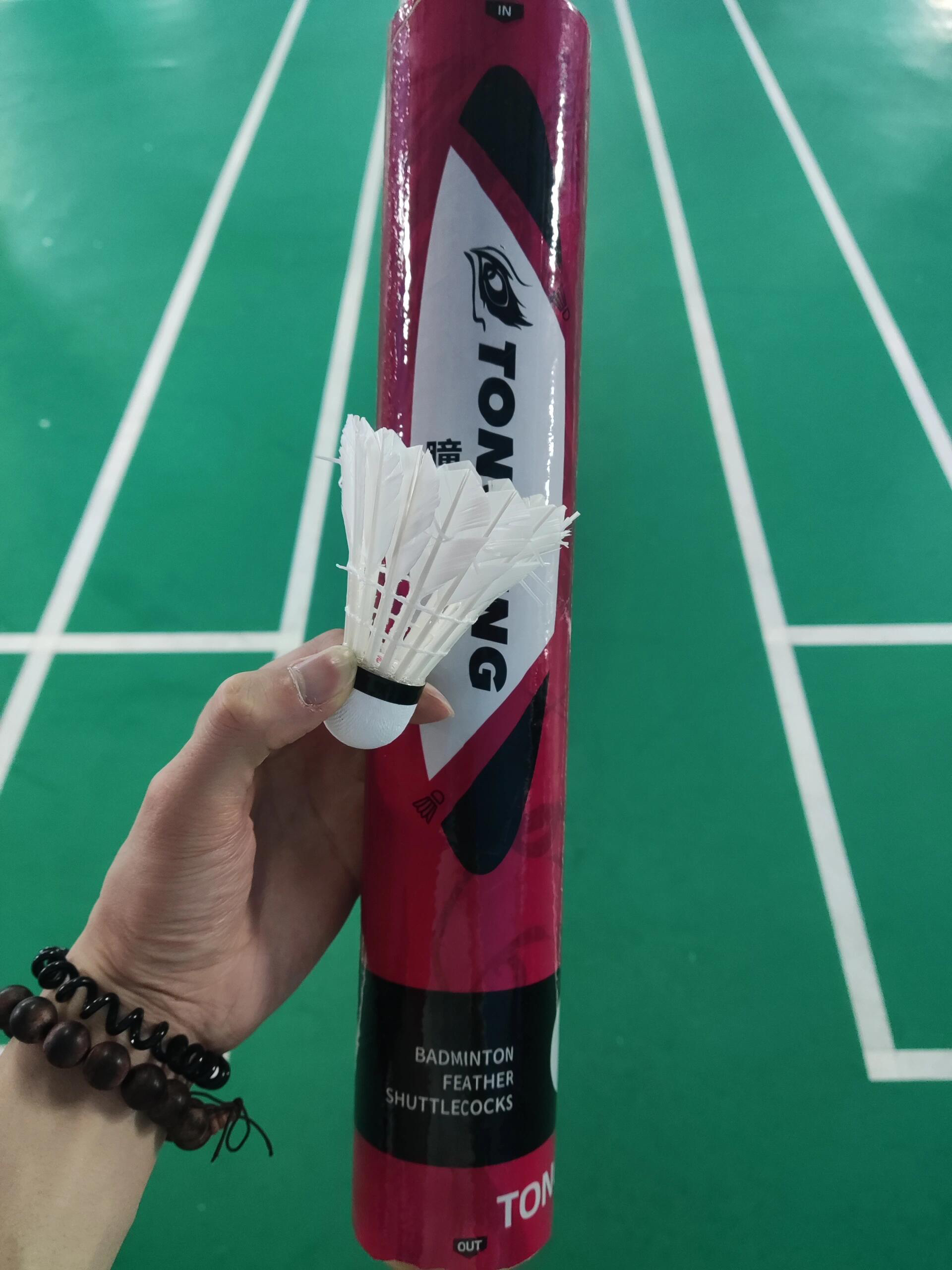 🏸耐打羽毛球推荐：不打不散🎯