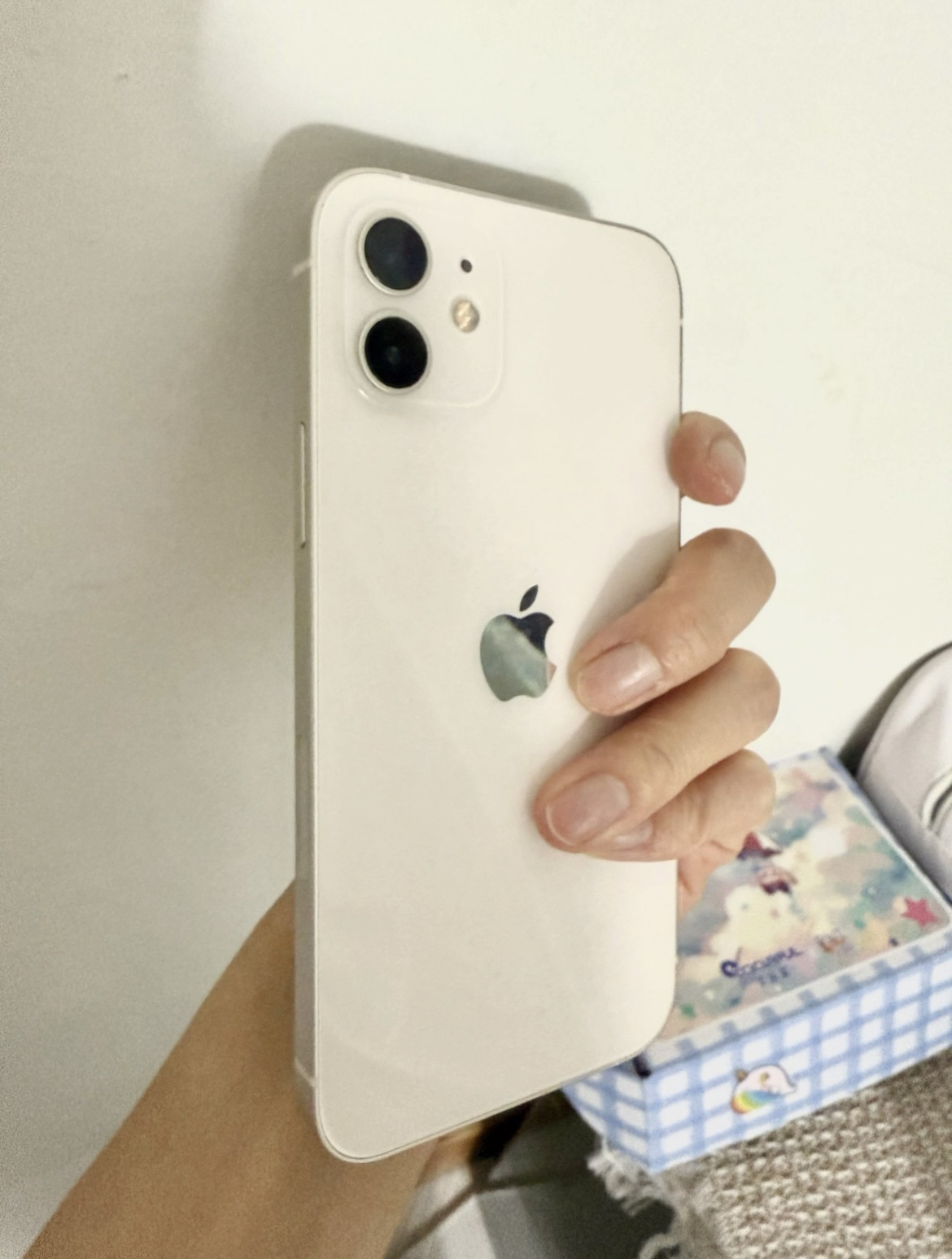 我的12还能再战两年