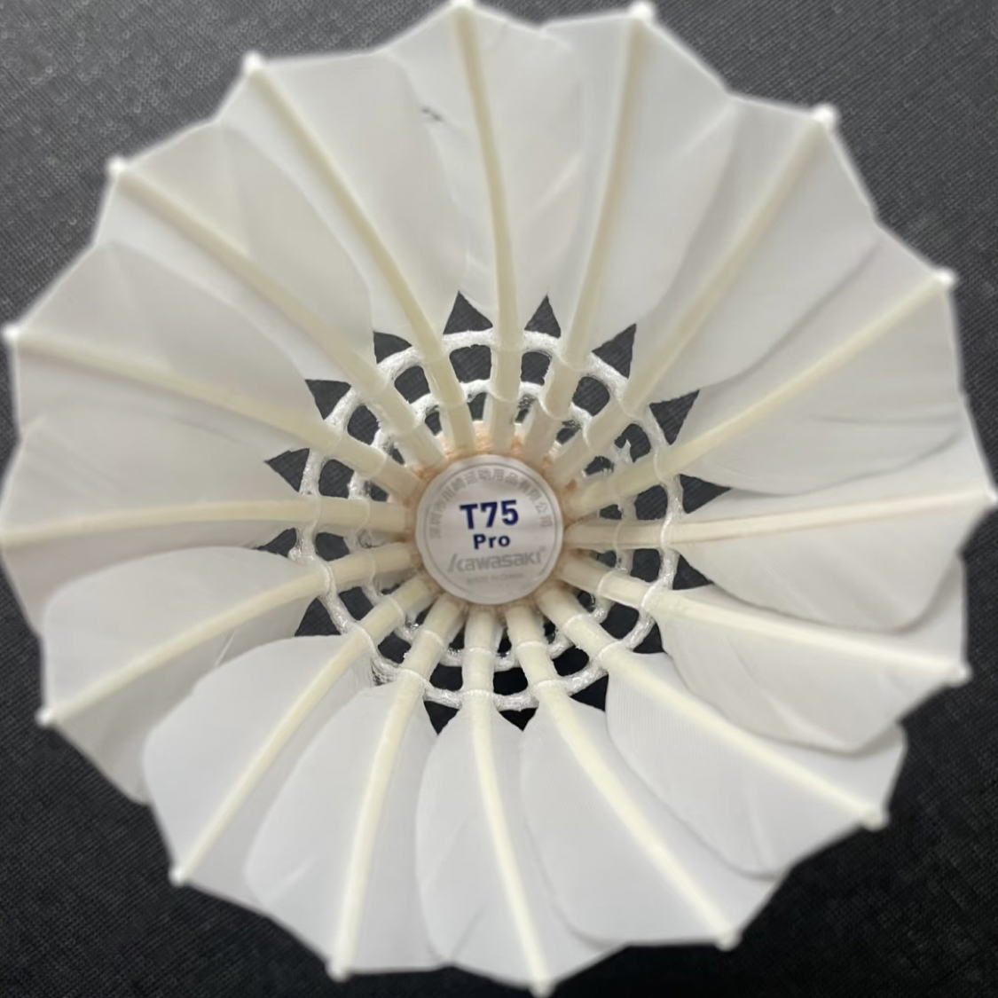我的性价比要球在这里🏸️