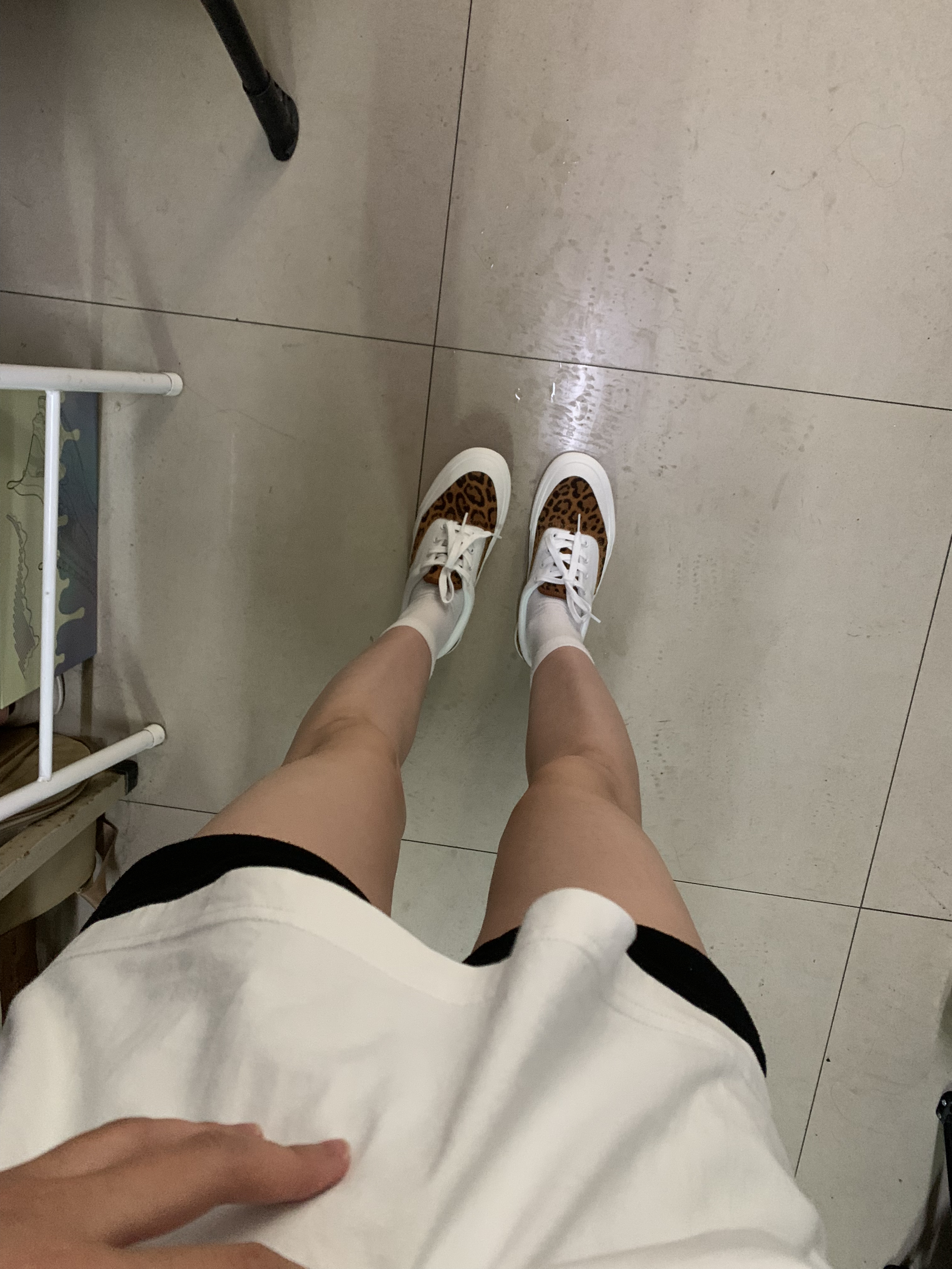 太帅了