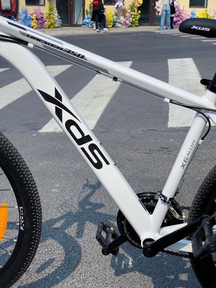 夏天傍晚骑行也太舒服了吧
颜值超级高 颜