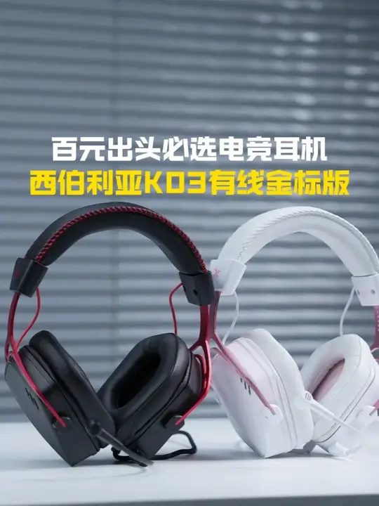 百元出头必选电竞机
西伯利亚K03有线宝标版