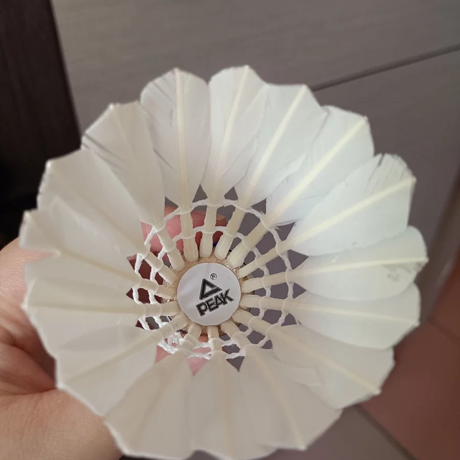 匹克D200A鹅毛球！新手训练搭子实锤！👏👏