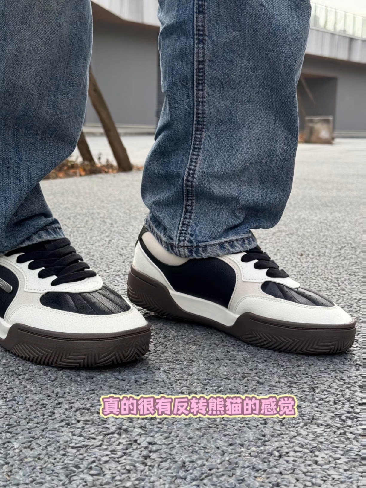 不看会后悔系列！