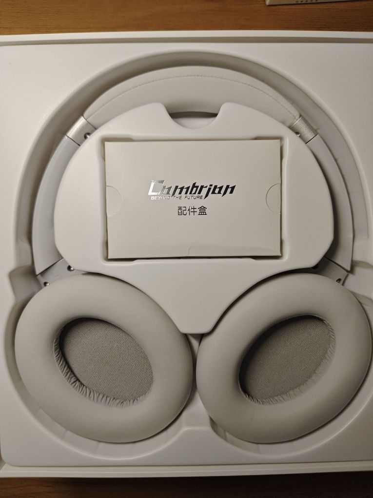 降噪效果可以，网上说漏音到是没有感觉到，