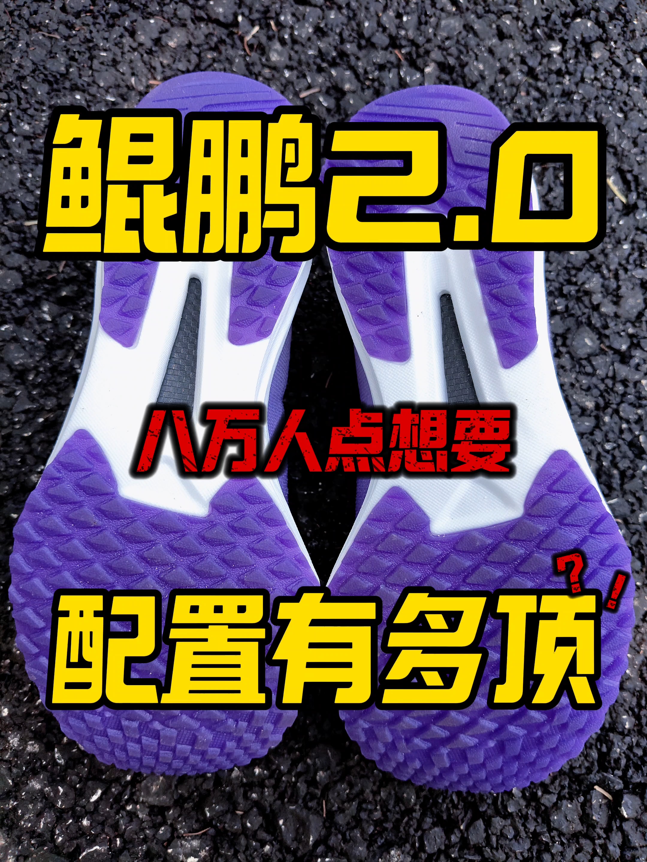 鲲鹏2.0|八万人点想要‼️配置有多顶⁉️
