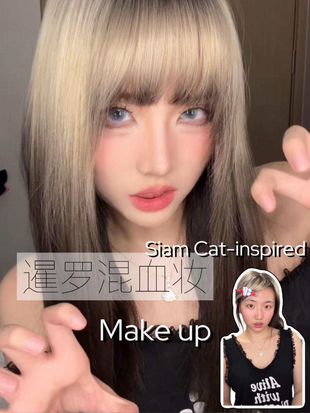 🐈⬛️*♡暹罗小猫の混血感！10分钟无痛换头🫧！