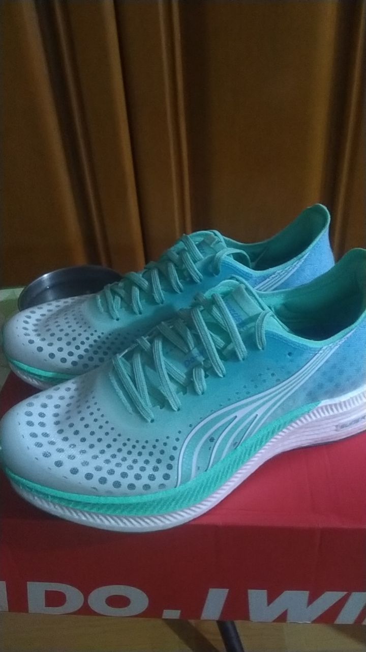 人生首碳