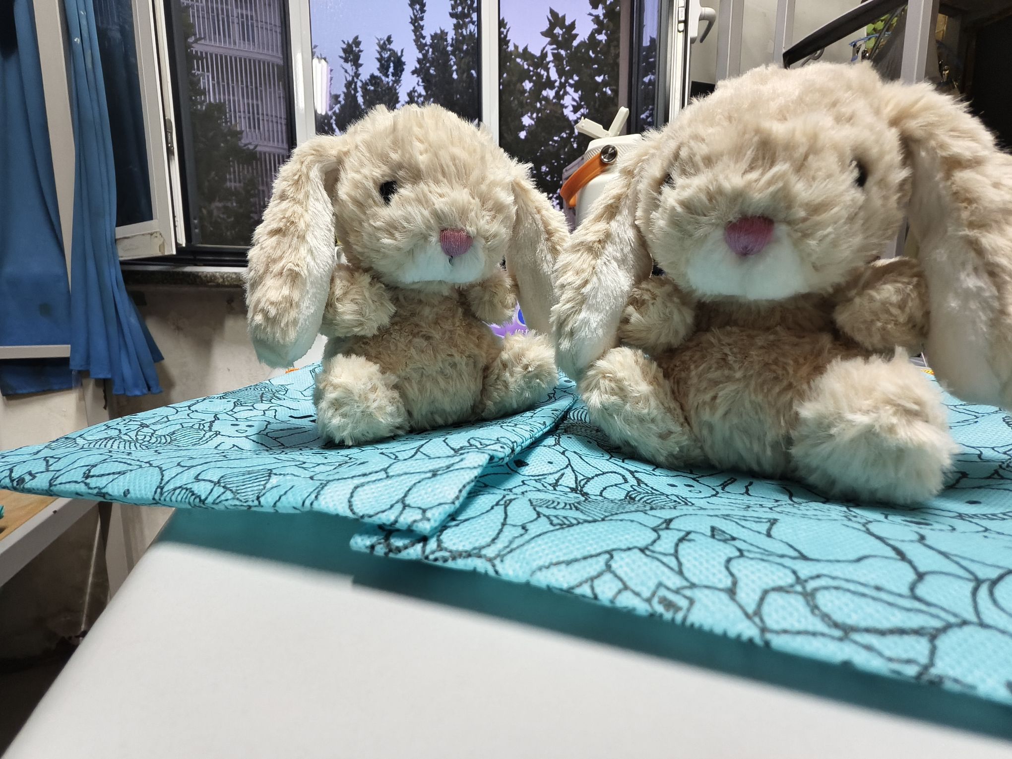 真的特别的好看