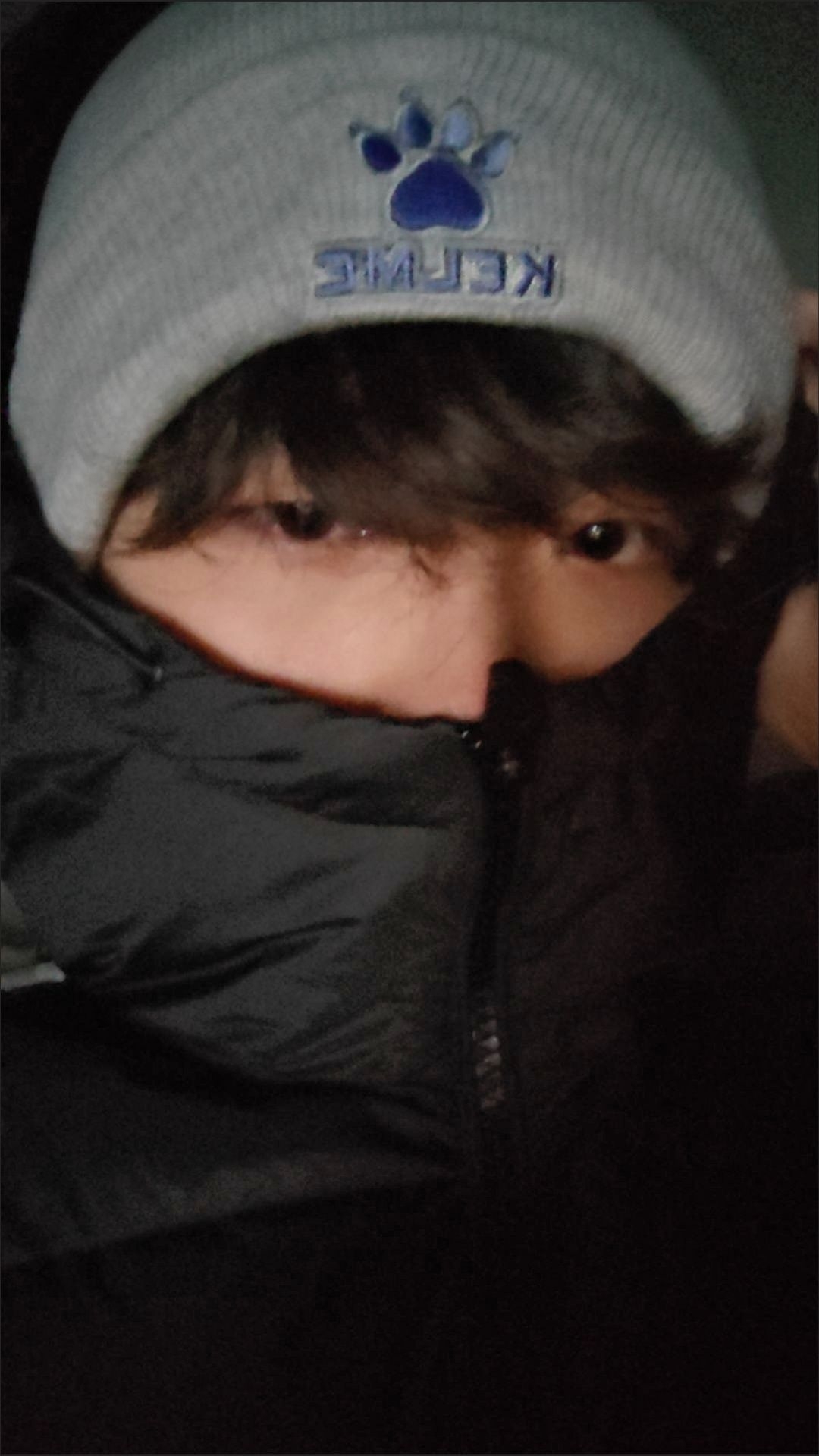 不戴卡尔美怎么泡小美