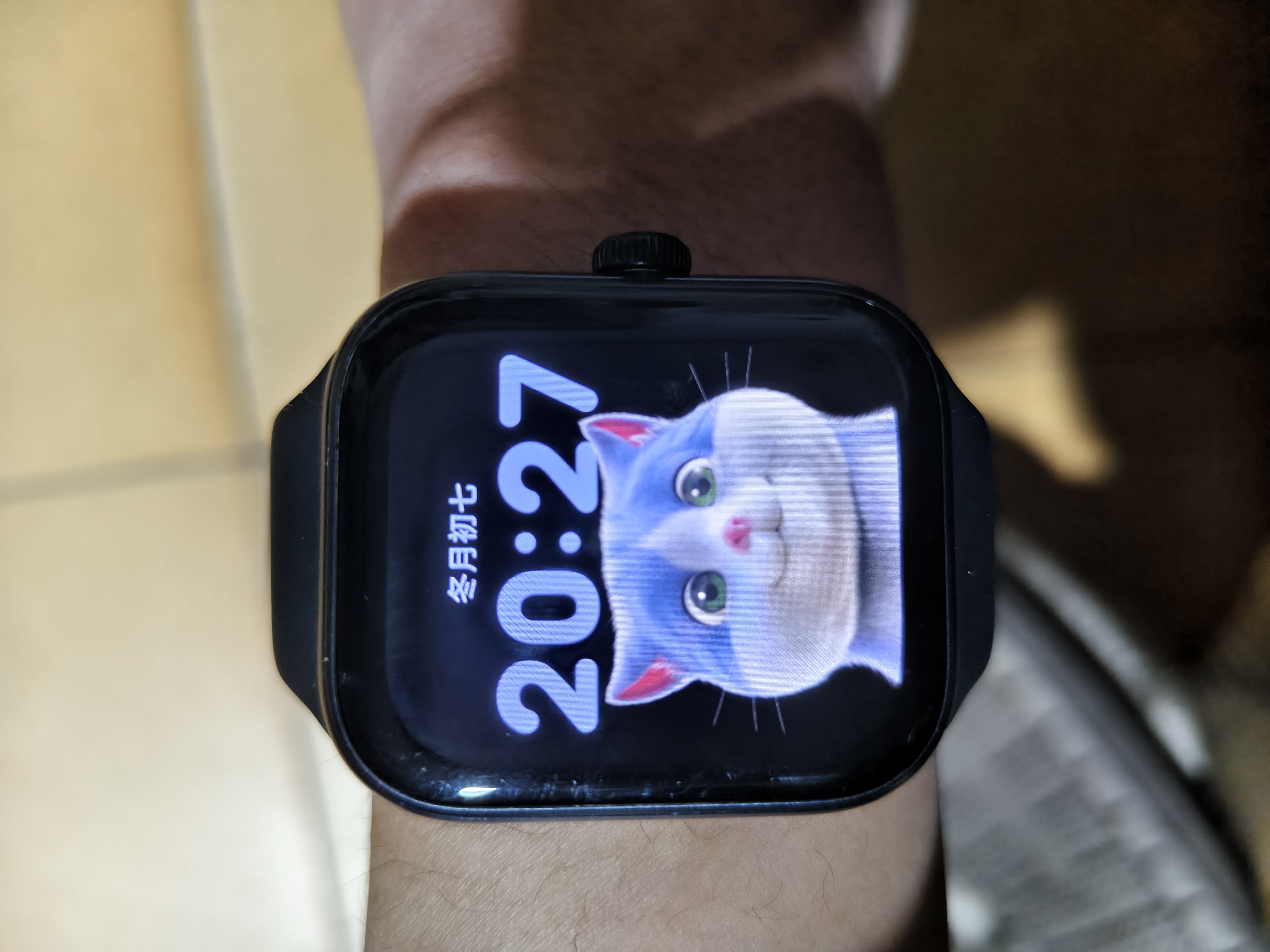 vivo wacthgt软件展示