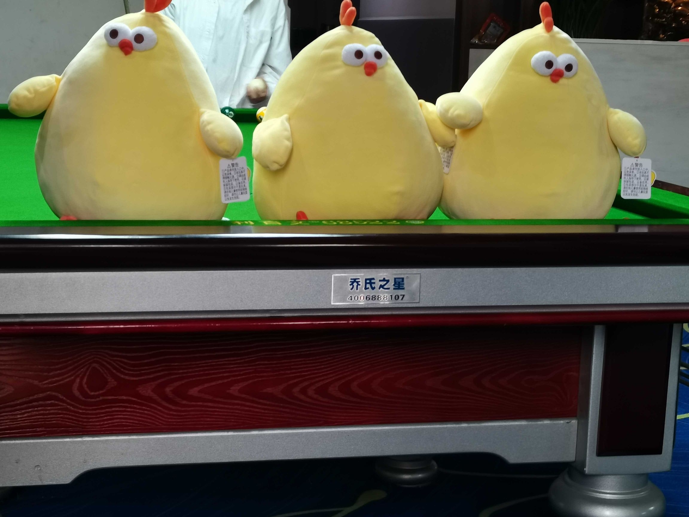 墩墩鸡