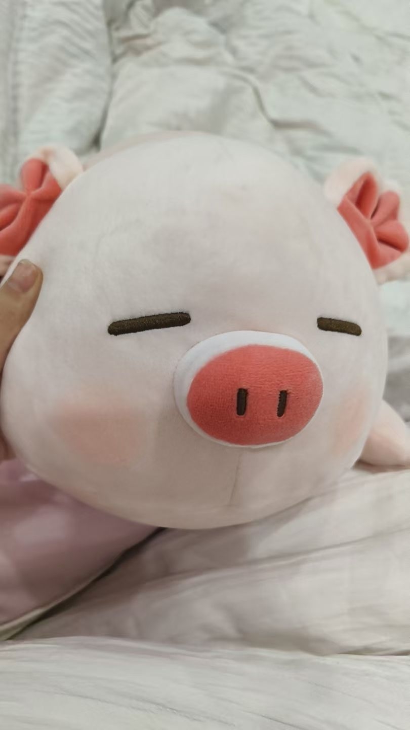 可爱的大猪猪玩偶