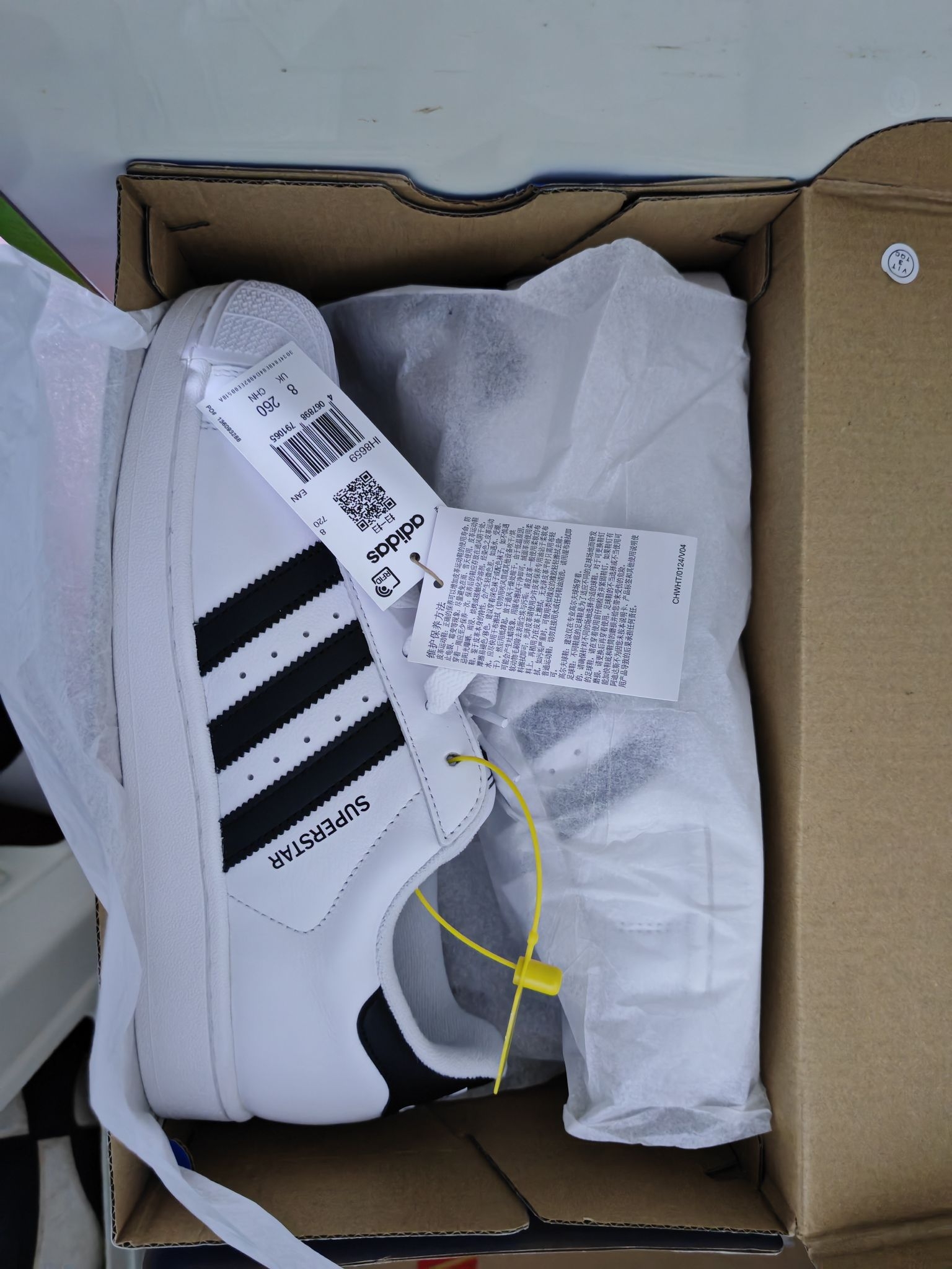 贝壳头二代！！！