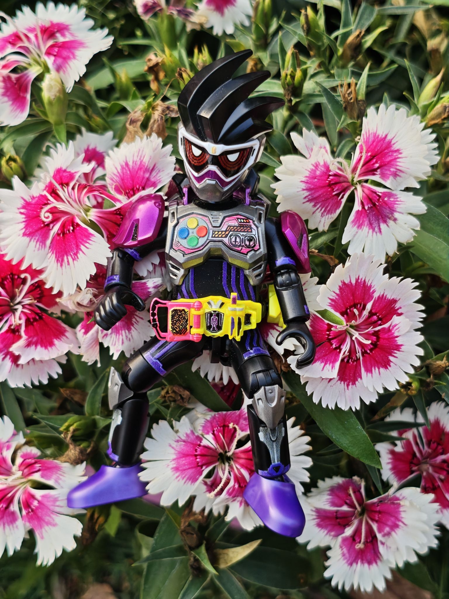 🌸 次元破壁！花海中的假面骑士