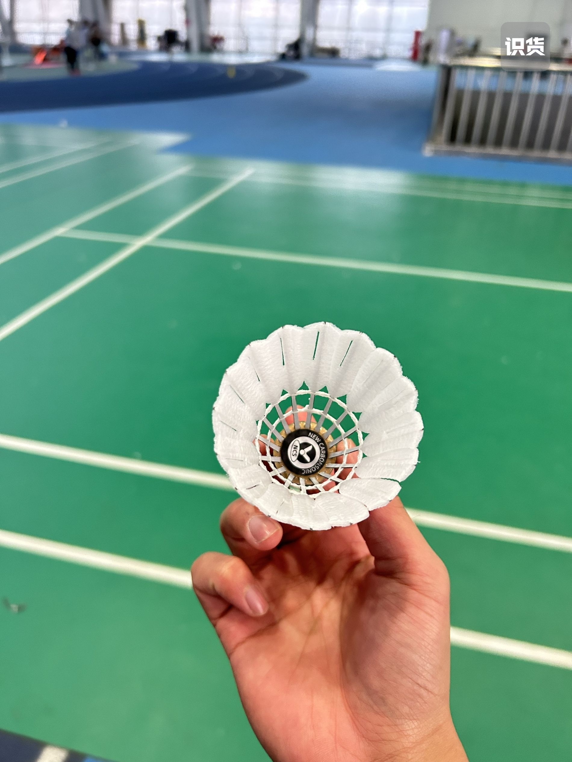 维克多NCS训练球