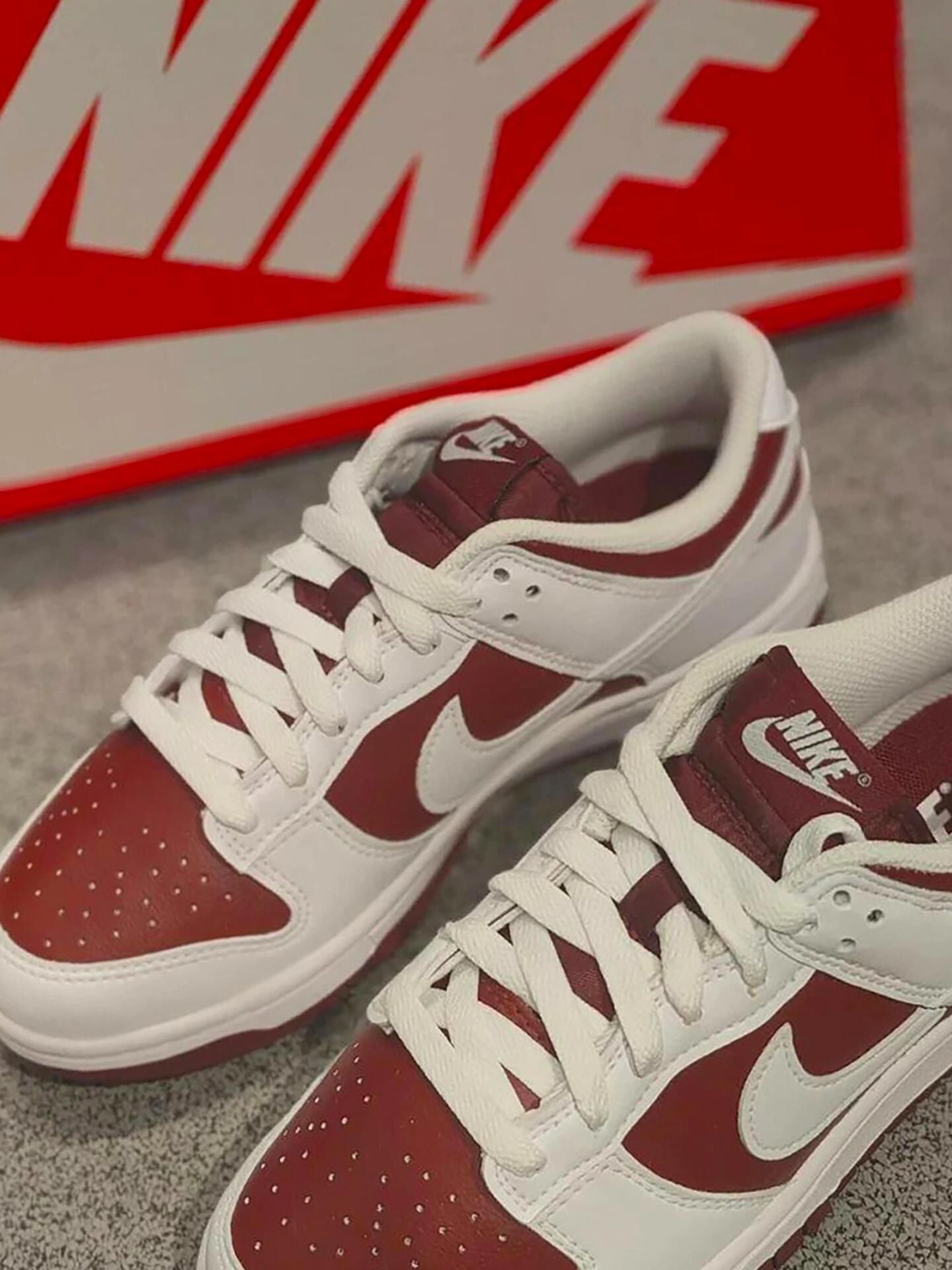 Nike Dunk Low 红白 复古日