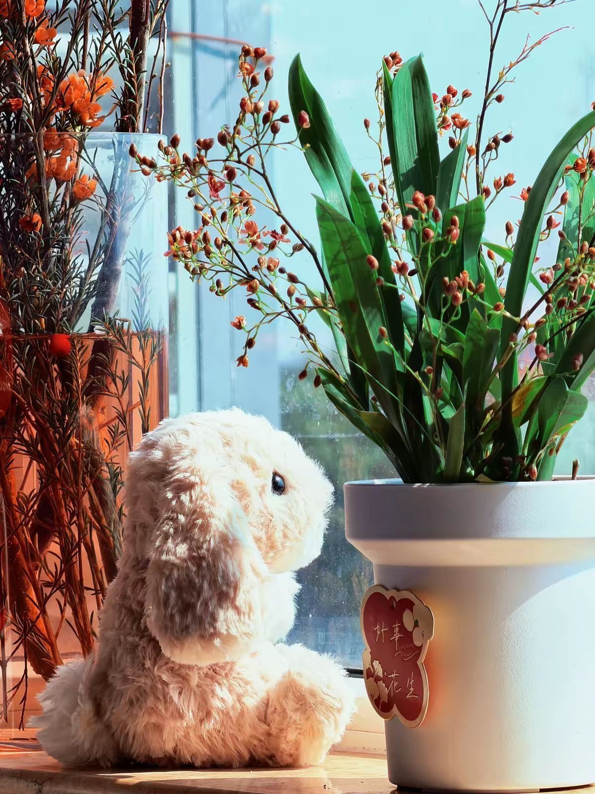 沦陷！Jellycat这只小短腿兔，软到我舍不得撒手😭