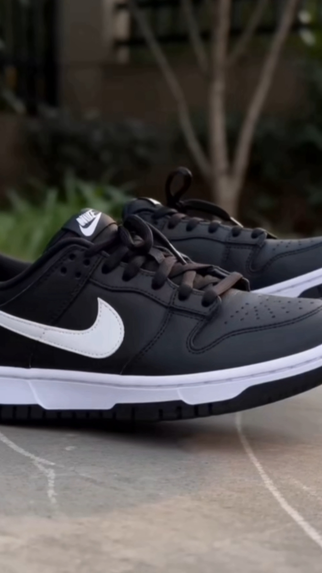 Nike dunk 