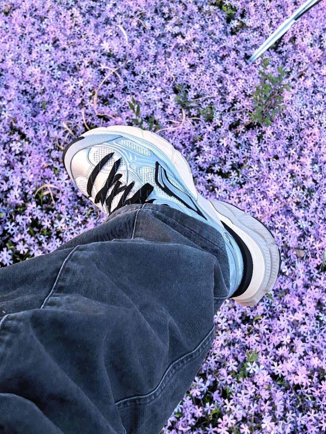 一脚踏进春天🌺