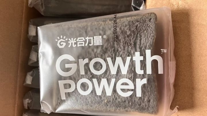 光合力量黑麦全麦面包测评