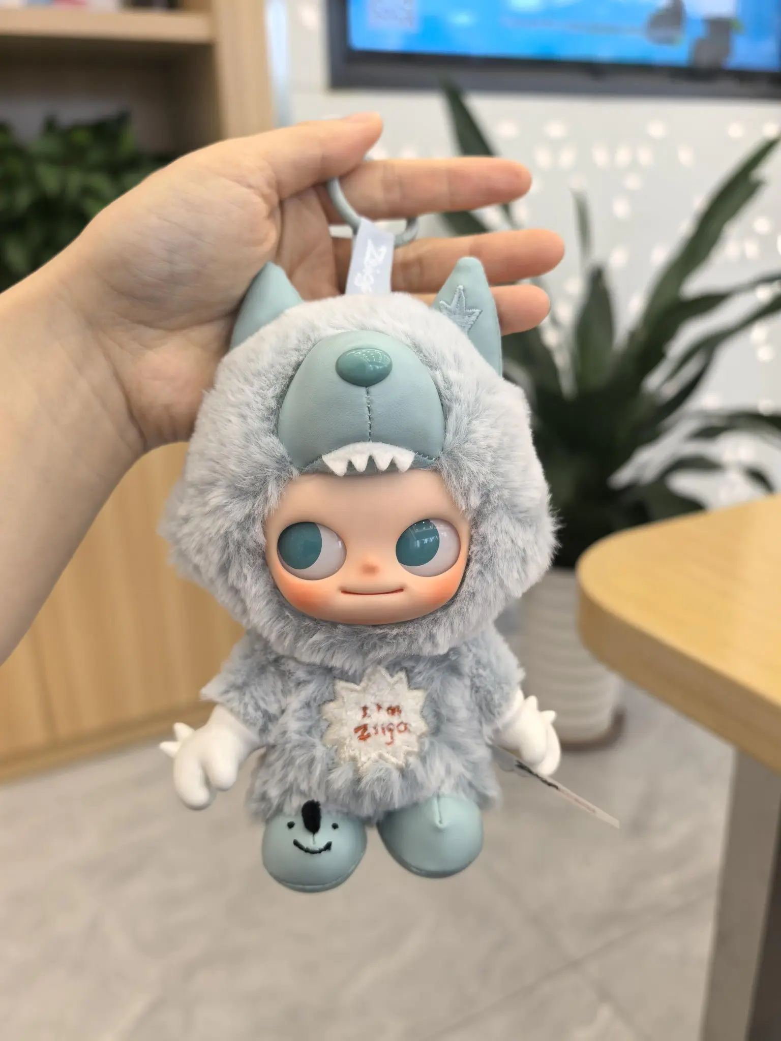 过分软萌了我们的Zsiga!