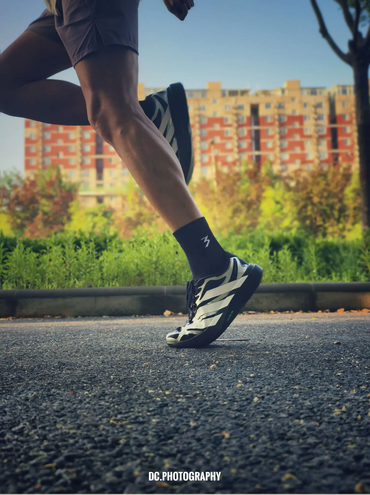 全能选手|adidas evo sl exo