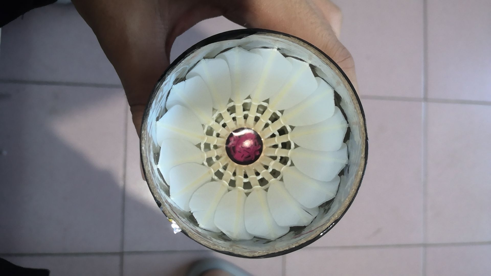 飞行好，价格亲民，适合当口粮球，推荐大家
