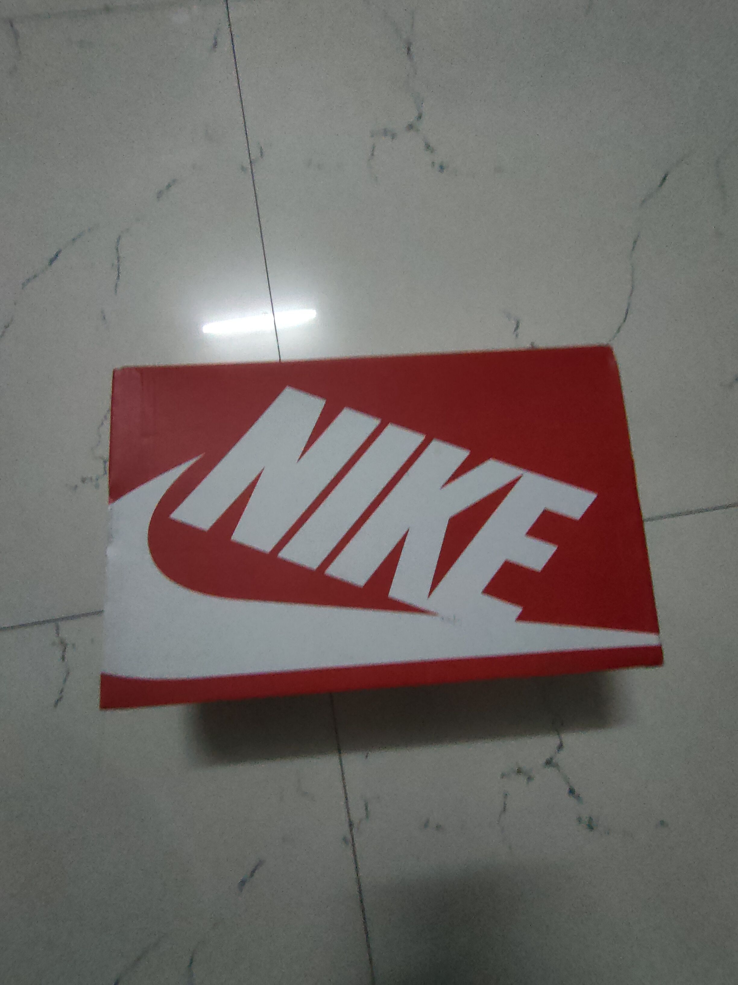 NIKE DUNK