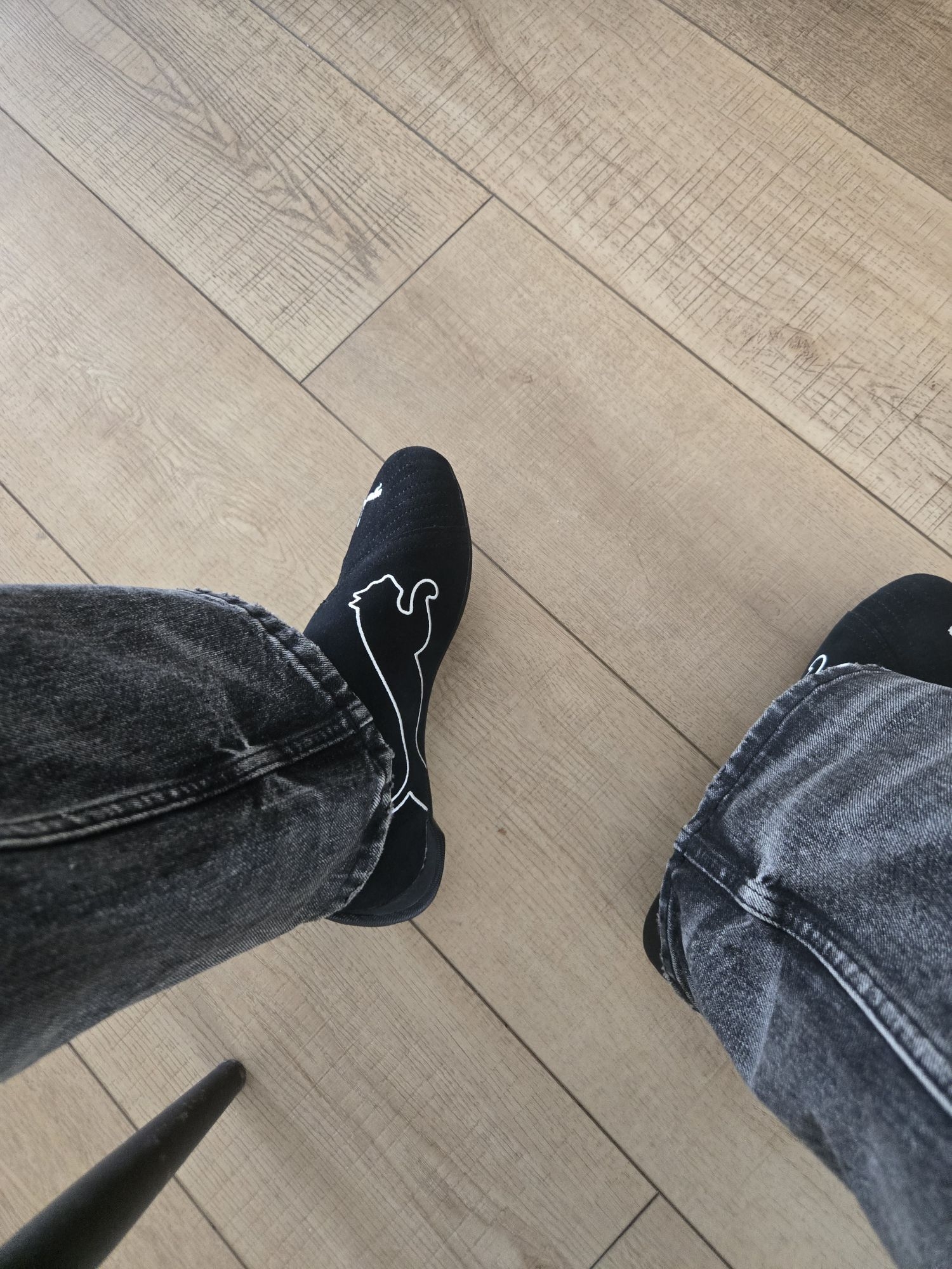 puma slipcat 