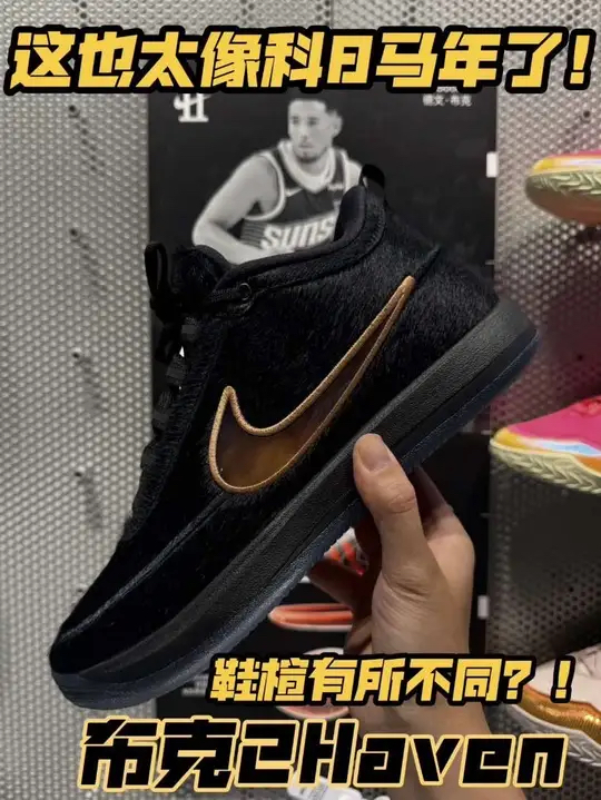 布克2的haven你就说像不像科8黑金马年?