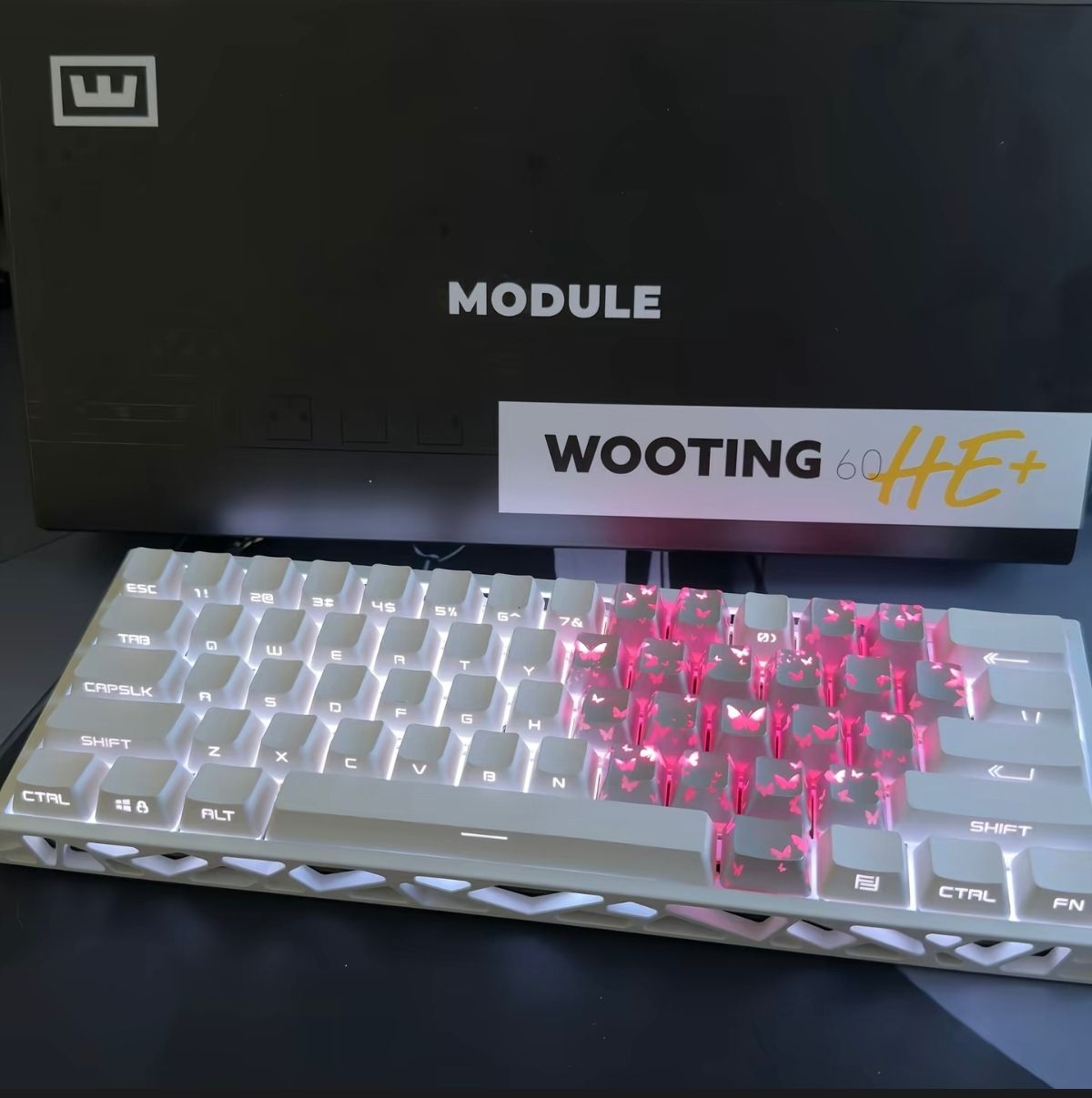 TOP1 Wooting 60HE（磁轴