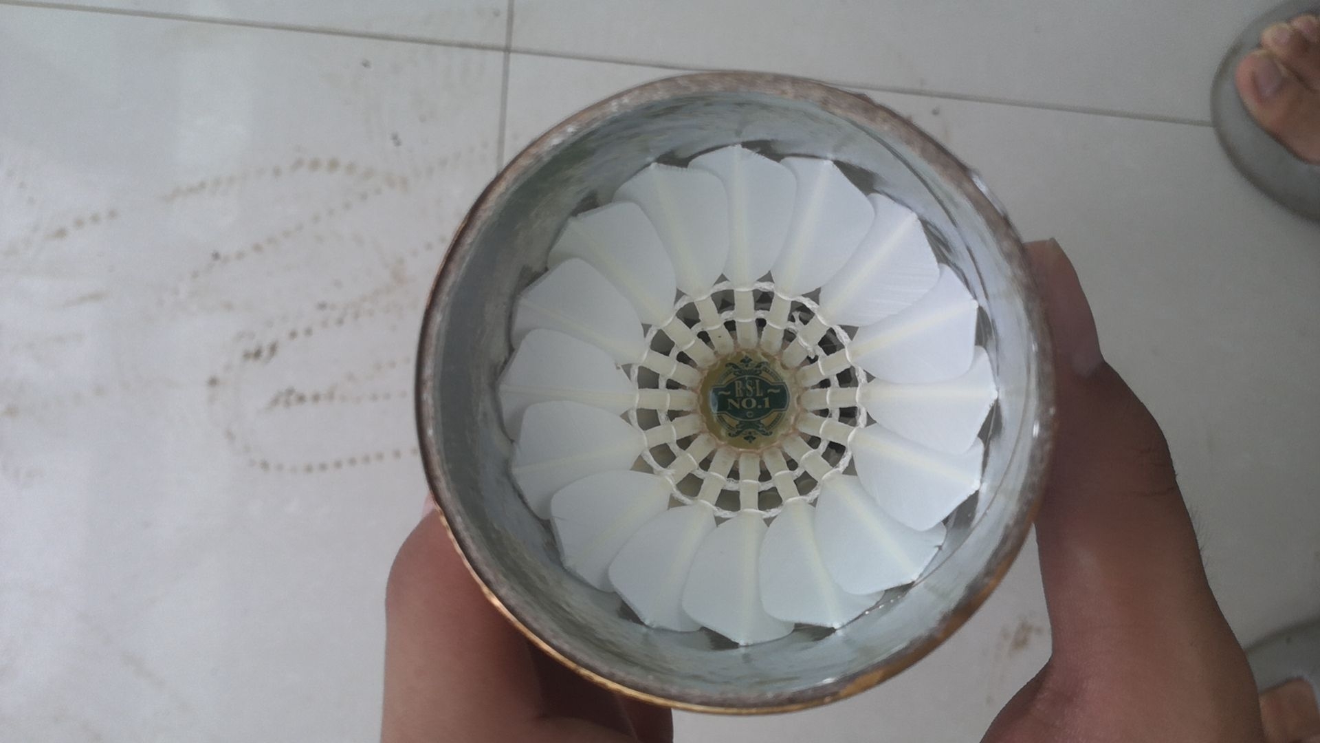 亚狮龙1号