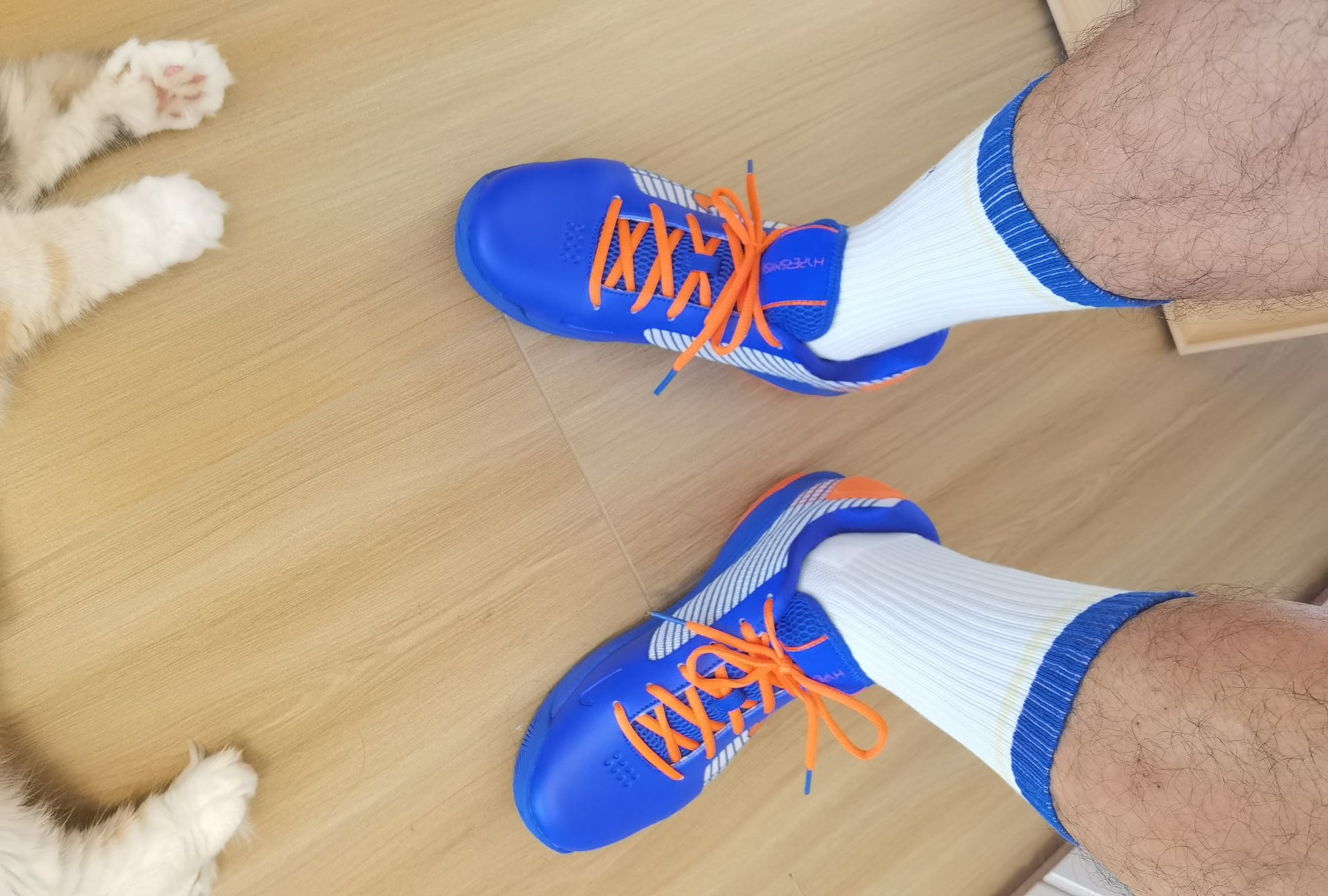 尼克斯版网球鞋vapor12