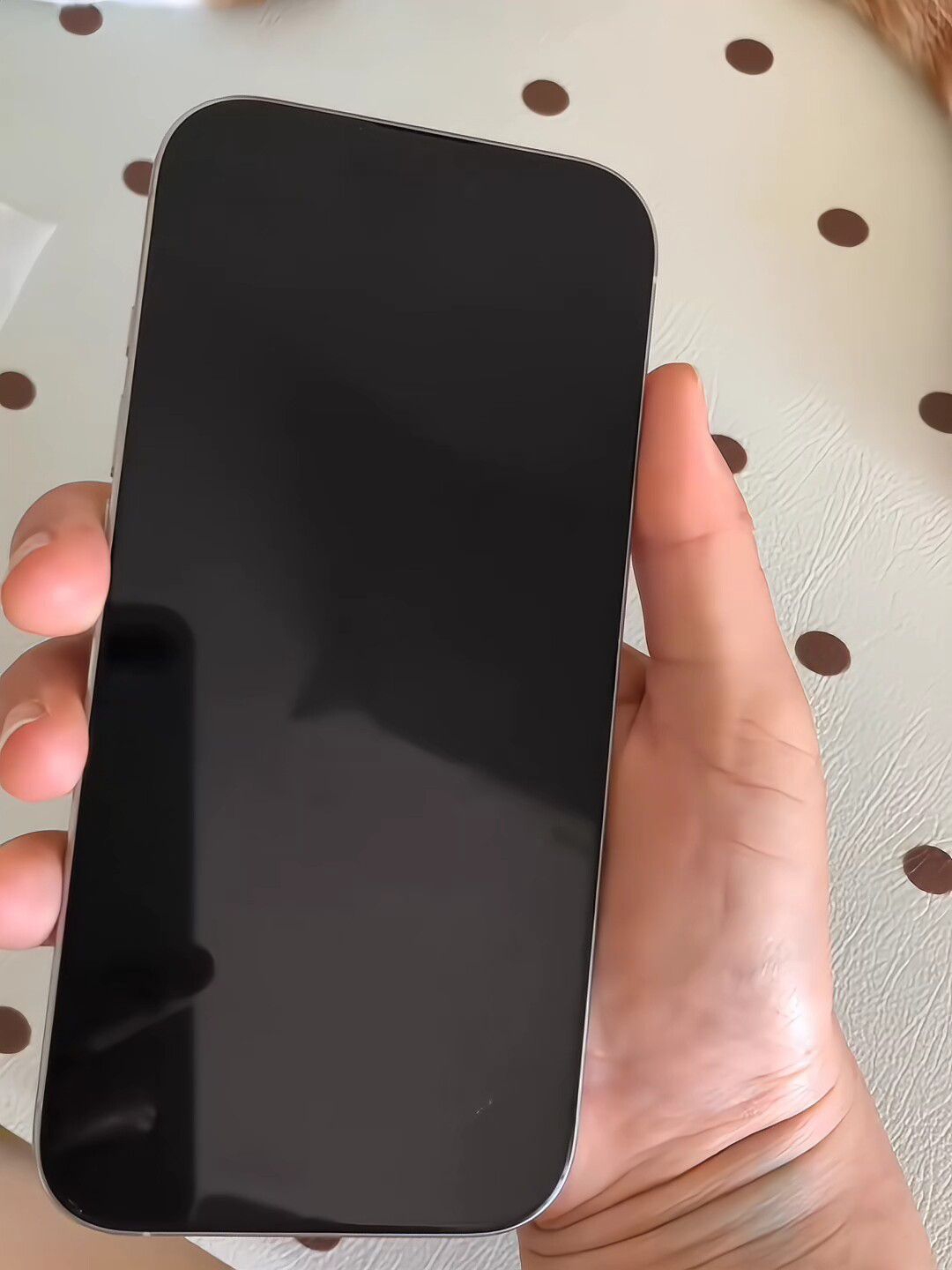 为什么这么多人购买Apple iPhone 16 Pro