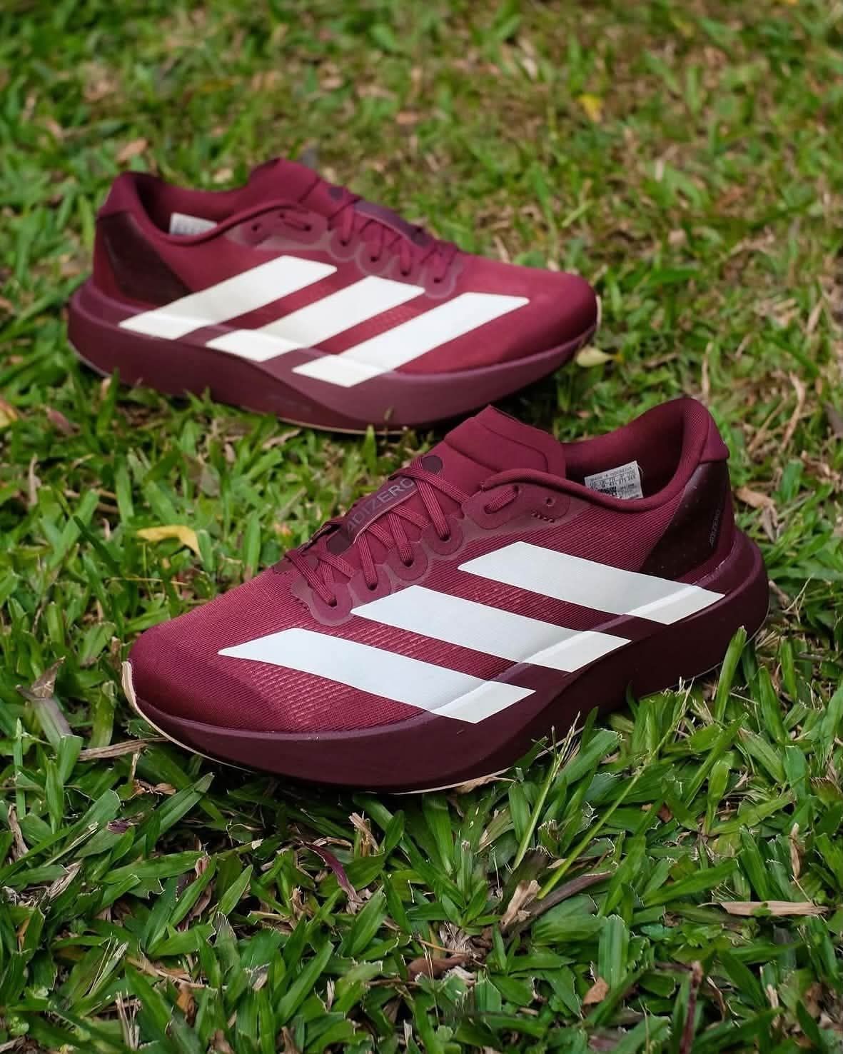竞速黑马⚡Adidas Adizero EvoSL酒红，轻量碳板跑鞋