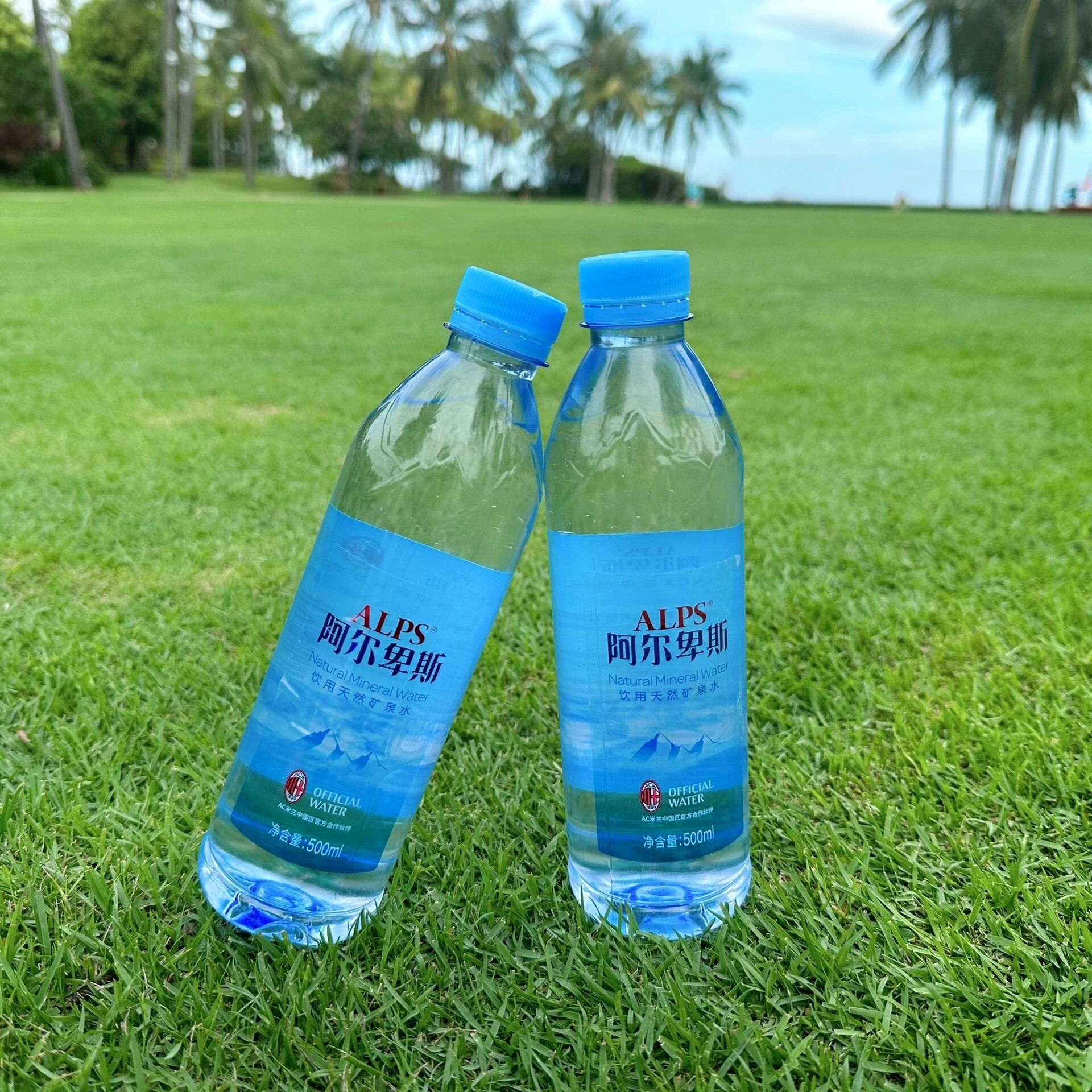 阿尔卑斯饮用天然矿泉水，500ml便携瓶装，开会出行随身带着喝