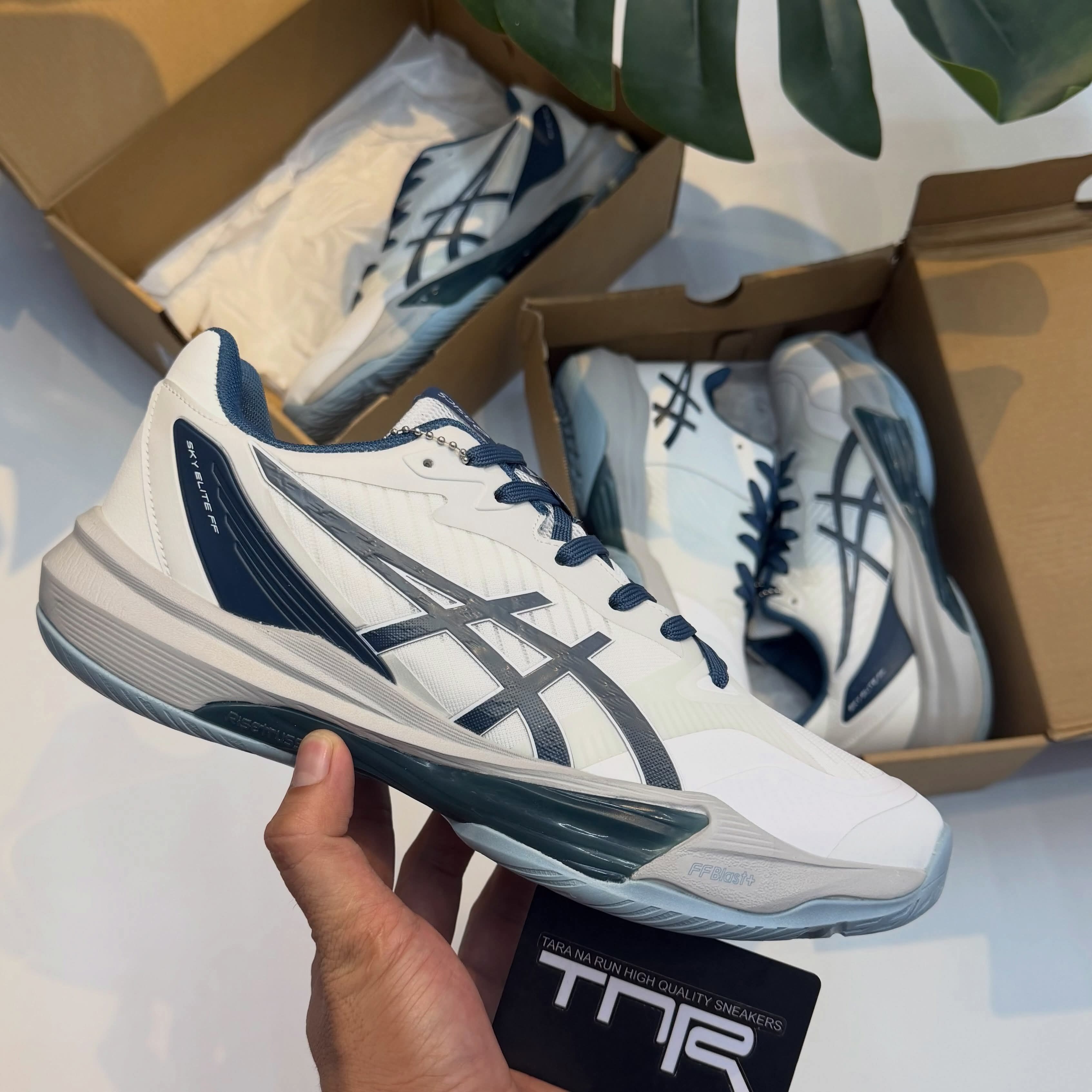 简约高级蓝白！Asics Sky Elite FF3，排球羽毛球室内综合实战球鞋