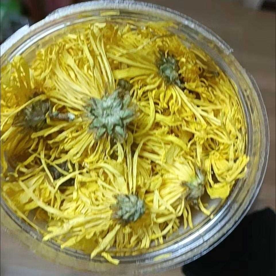 大朵金丝皇菊菊花茶,汤色金黄,独立罐装耐泡,办公室居家冲泡花茶