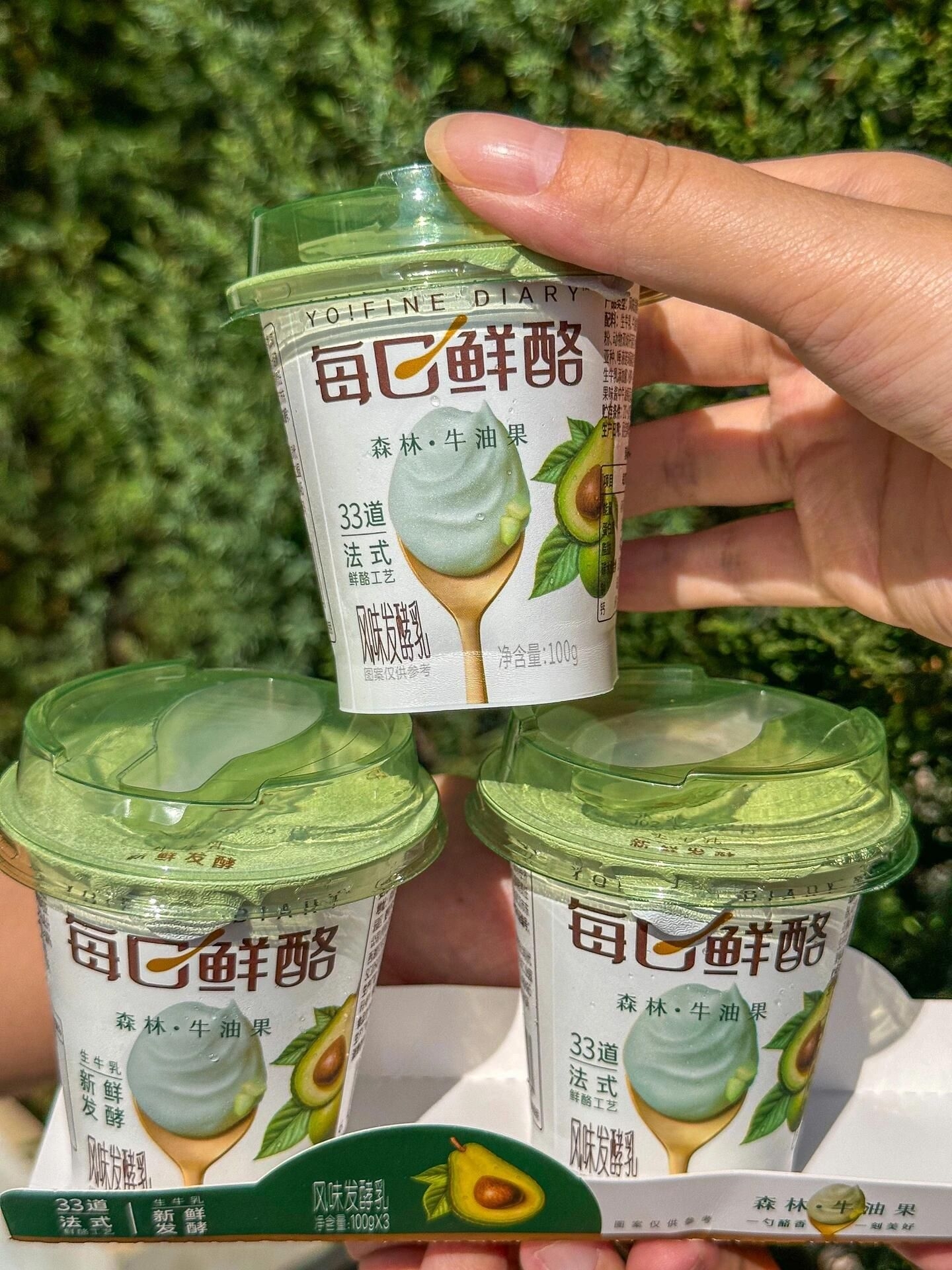 一口爱上牛油果风味！每日鲜酪低温发酵乳，醇厚口感超治愈