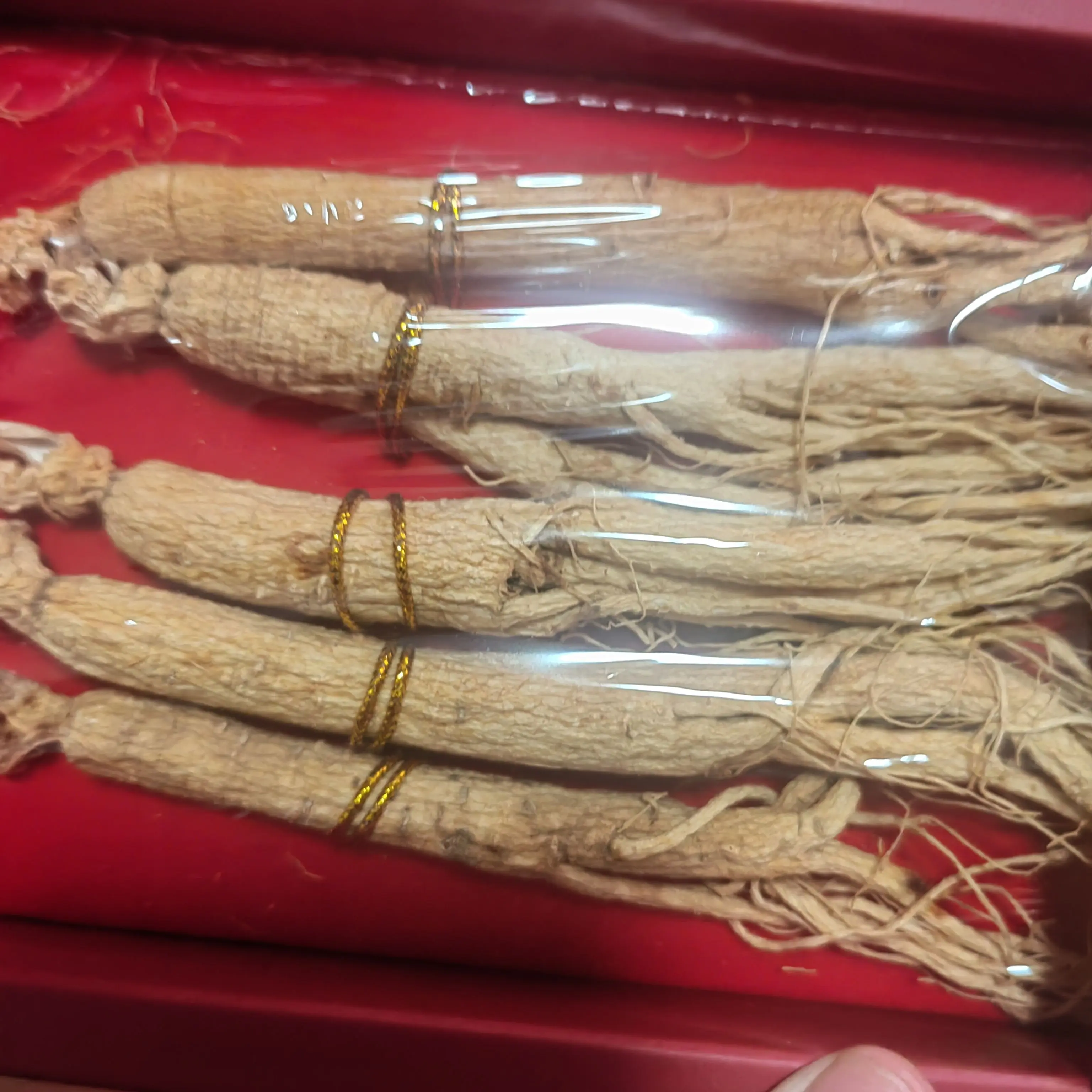 经常疲惫气虚的看过来!长白山整支生晒参煲汤泡酒滋补佳品